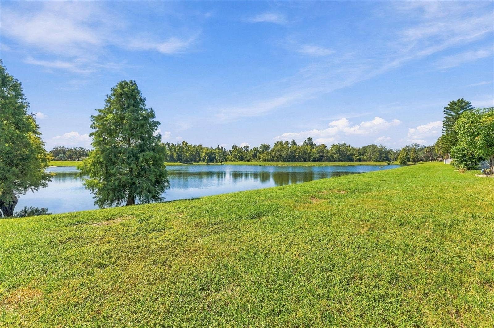 11617 GROVE ARCADE DRIVE, Riverview, FL 33569