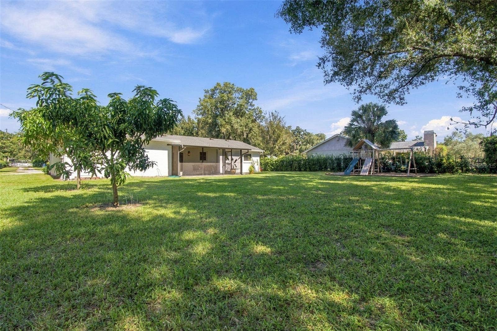 9450 ROBERTS ROAD, Odessa, FL 33556 Backyard with Mango Trees