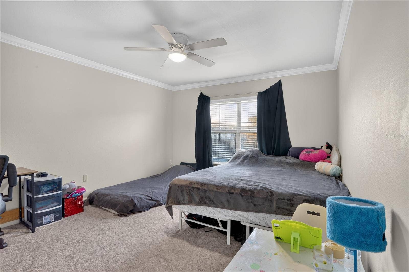 18119 BRIDLE BIT LANE, #18119, Tampa, FL 33647