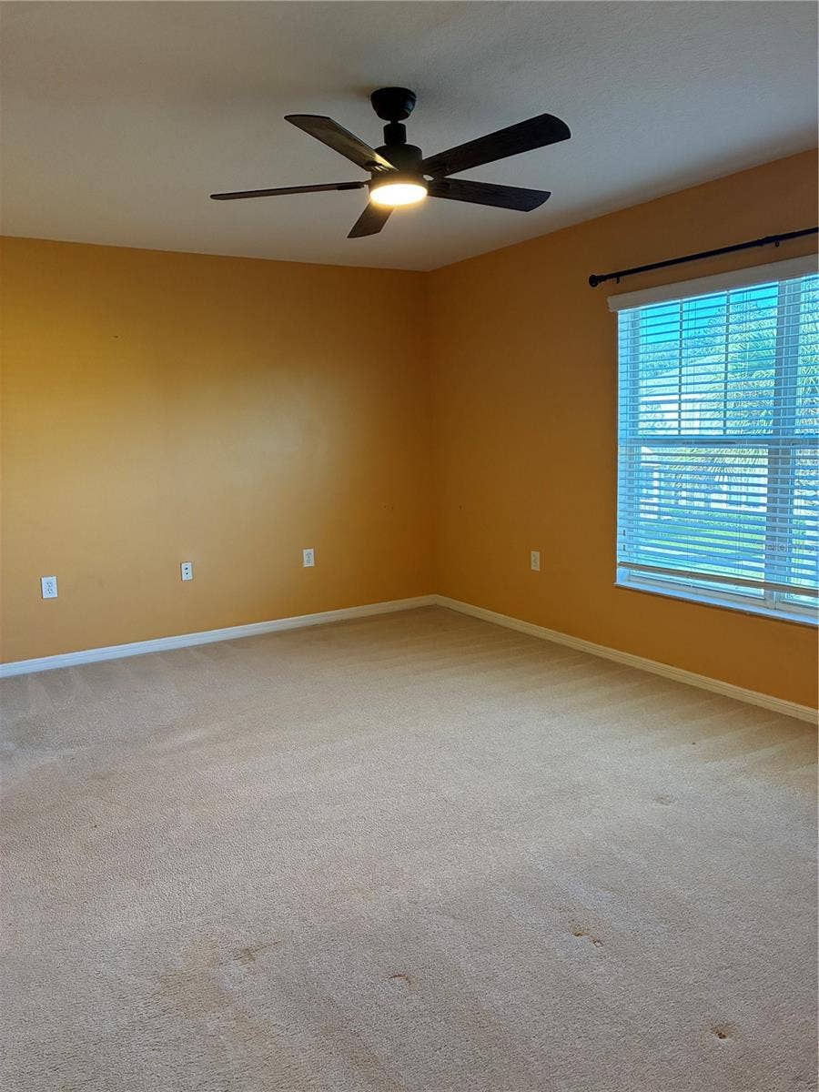 20105 WEEPING LAUREL PLACE, Tampa, FL 33647 20105 WEEPING LAUREL PLACE, Tampa, FL 33647
