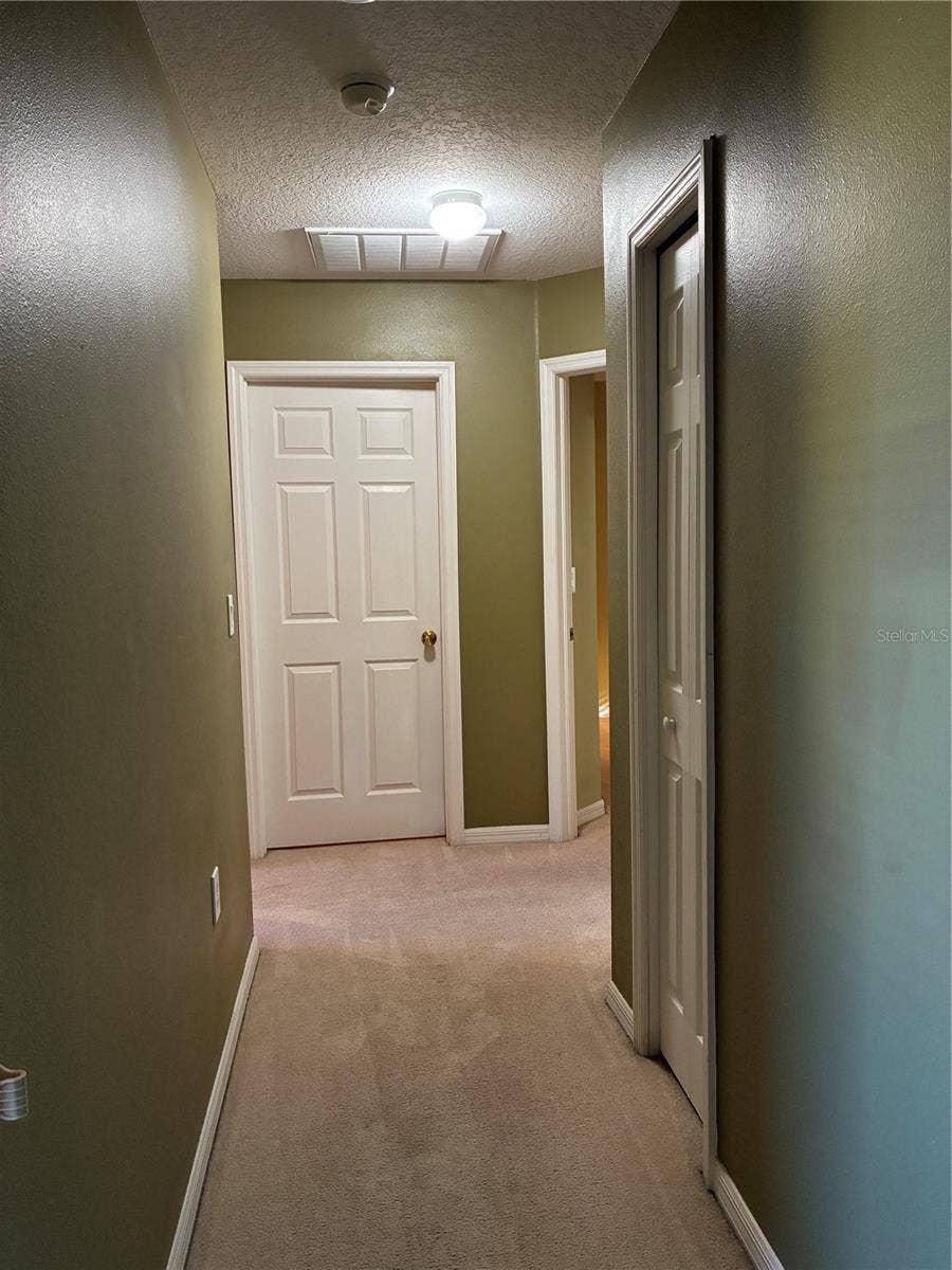 20105 WEEPING LAUREL PLACE, Tampa, FL 33647 20105 WEEPING LAUREL PLACE, Tampa, FL 33647
