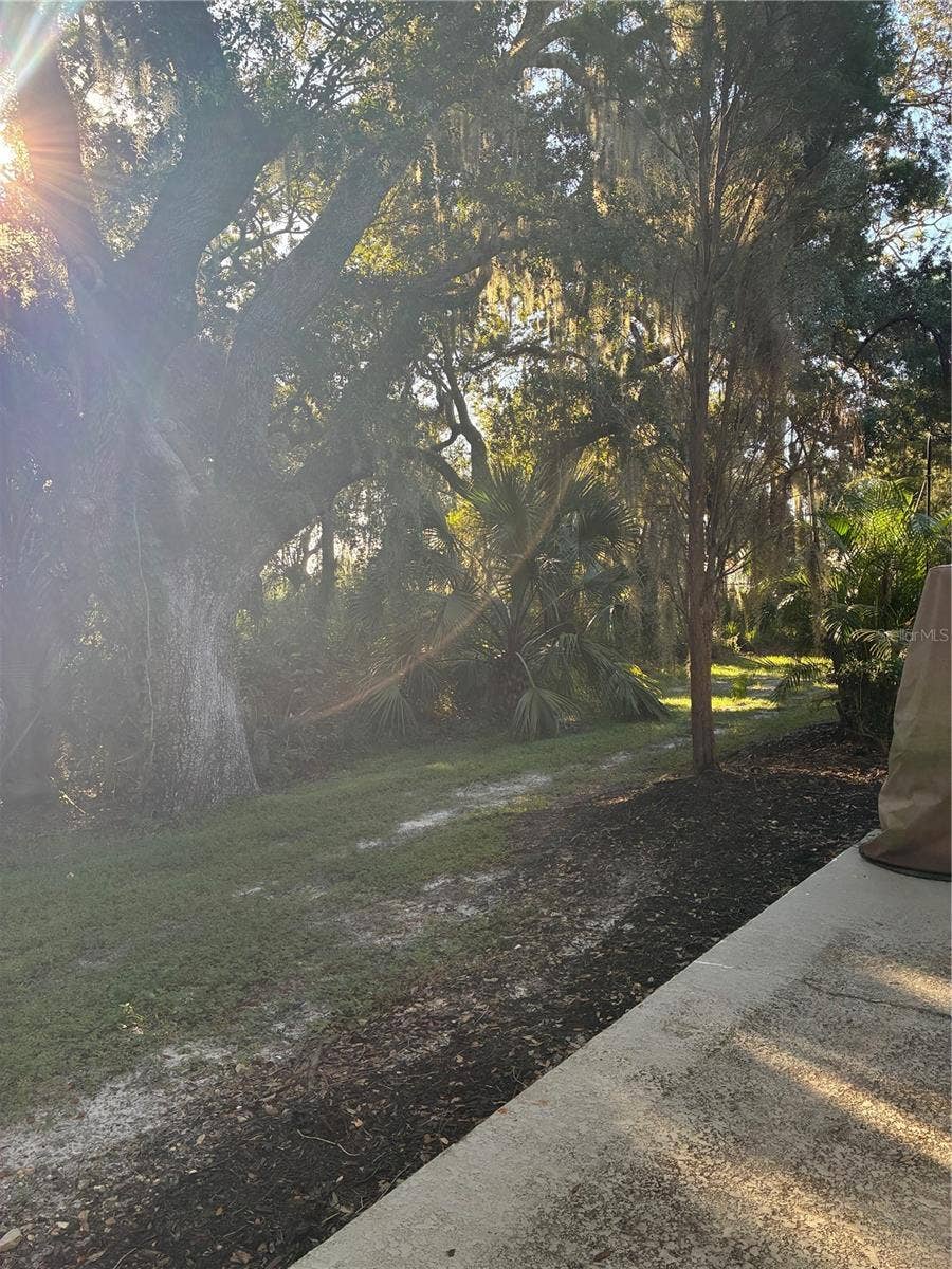 20105 WEEPING LAUREL PLACE, Tampa, FL 33647 20105 WEEPING LAUREL PLACE, Tampa, FL 33647