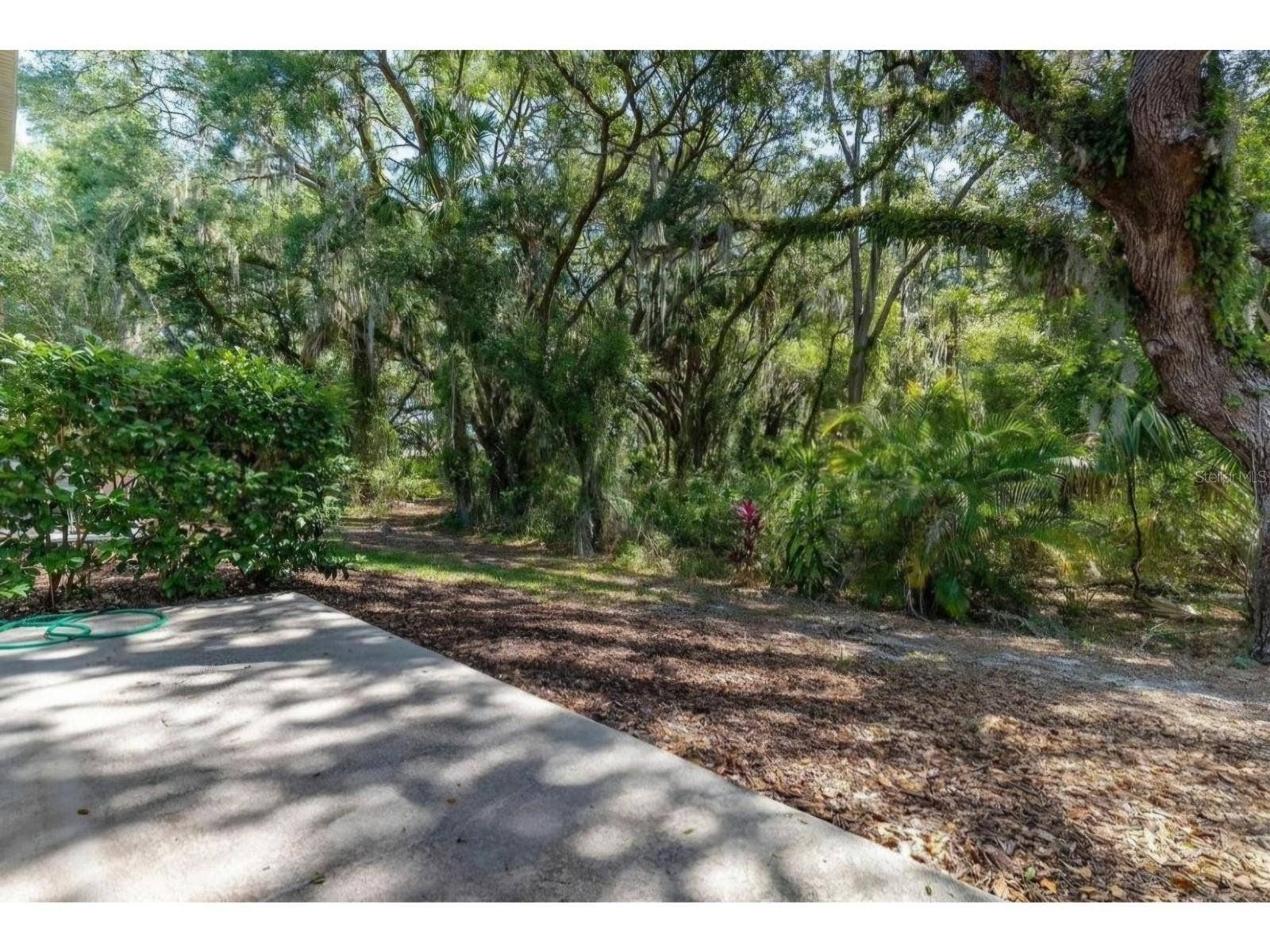 20105 WEEPING LAUREL PLACE, Tampa, FL 33647 20105 WEEPING LAUREL PLACE, Tampa, FL 33647
