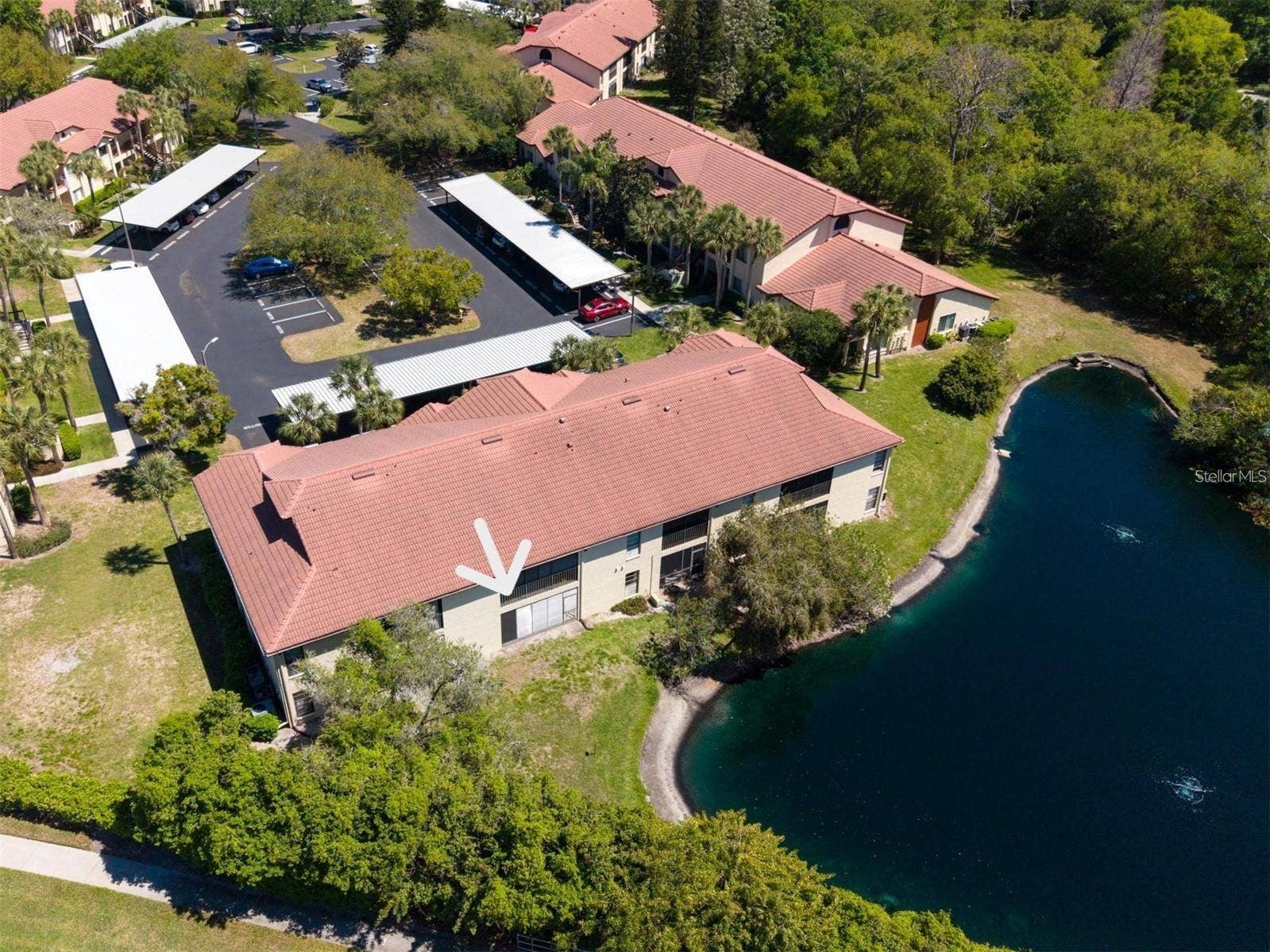 1801 E LAKE ROAD, #20C, Palm Harbor, FL 34685 1801 E LAKE ROAD, #20C, Palm Harbor, FL 34685