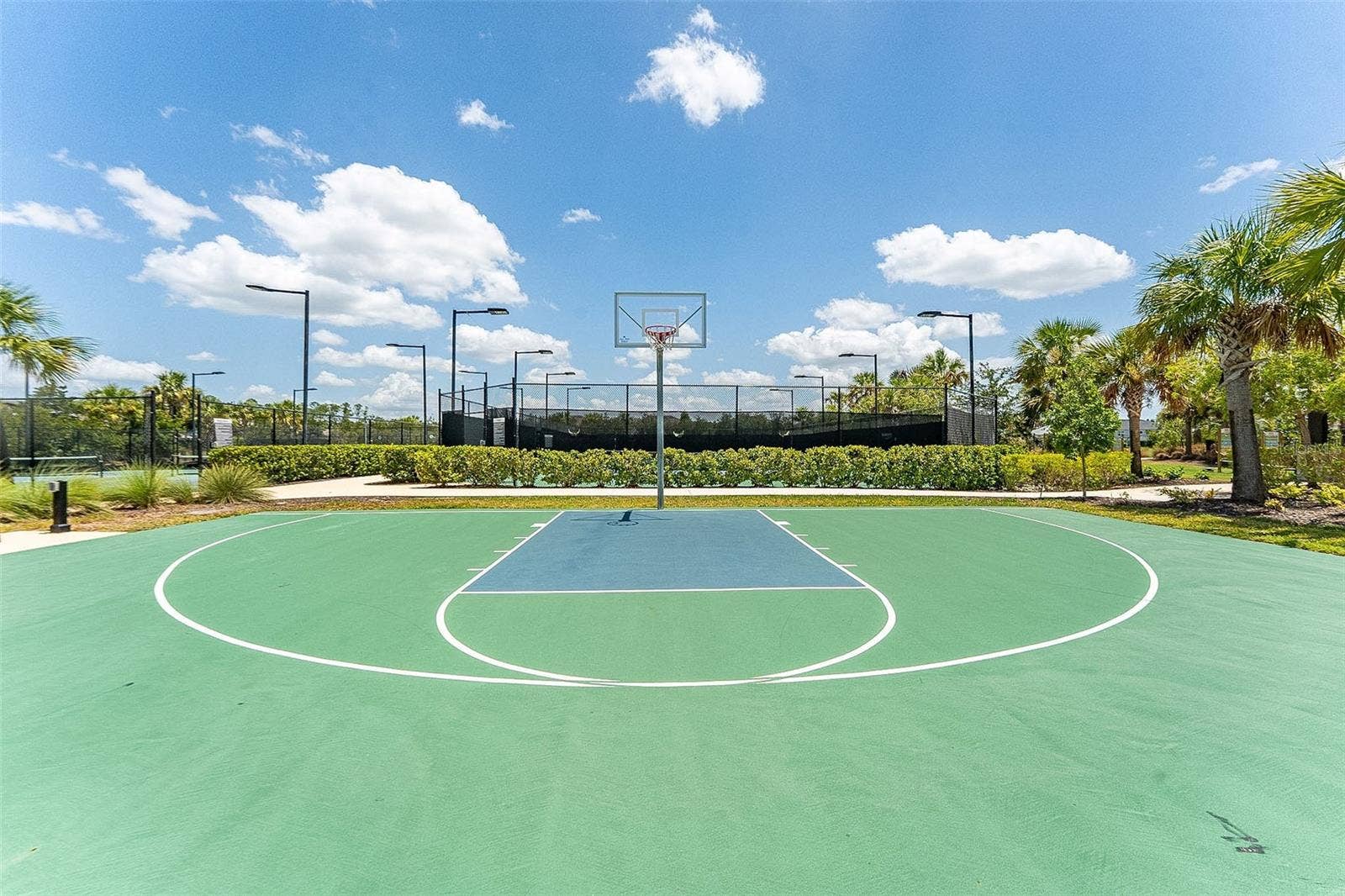 Basketball