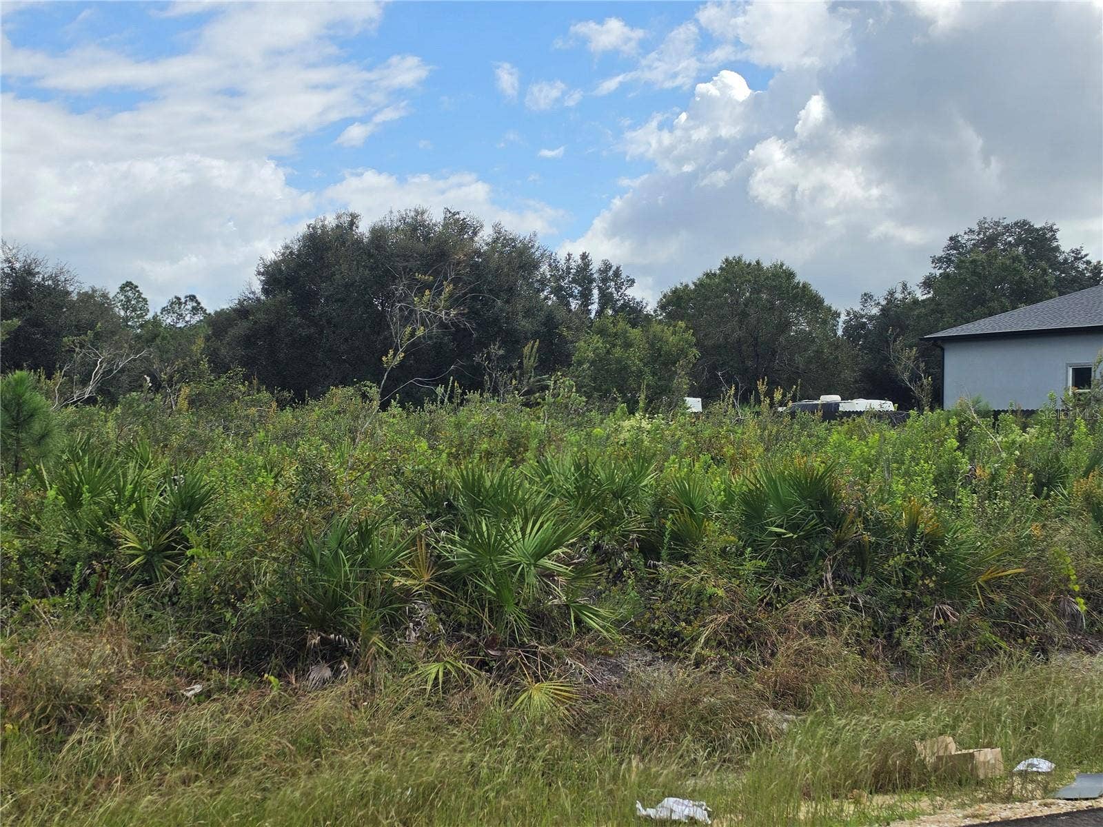 1514 RICHMOND AVENUE N, Lehigh Acres, FL 33972