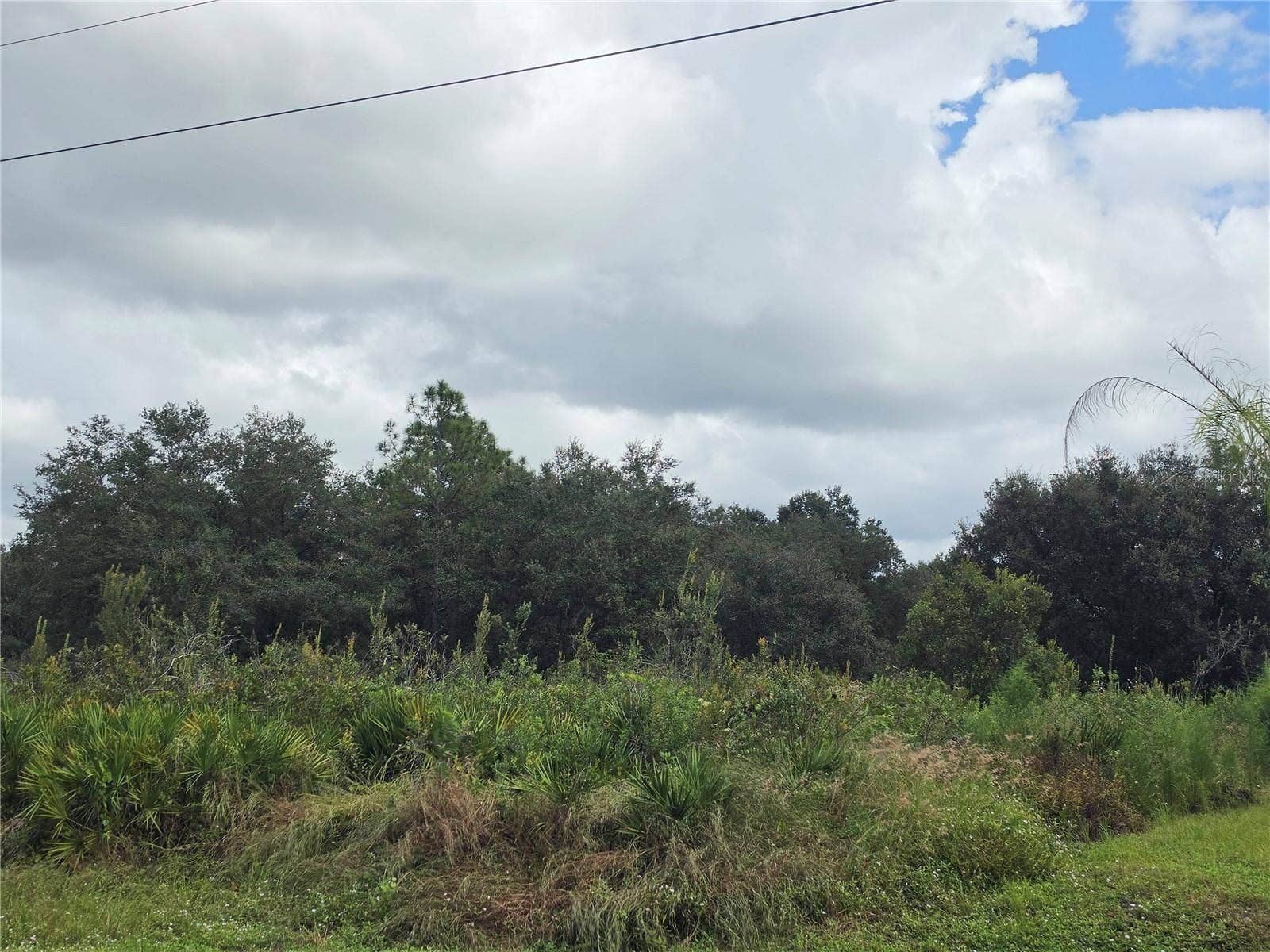 1514 RICHMOND AVENUE N, Lehigh Acres, FL 33972