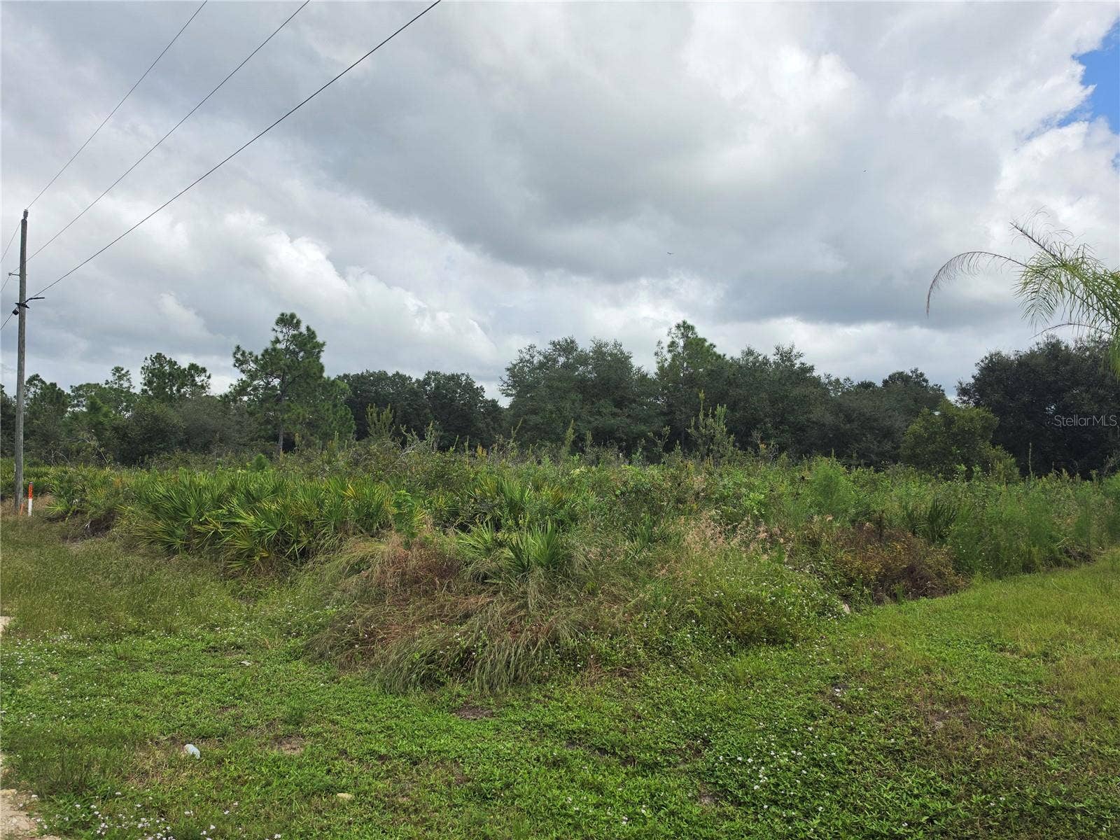 1514 RICHMOND AVENUE N, Lehigh Acres, FL 33972