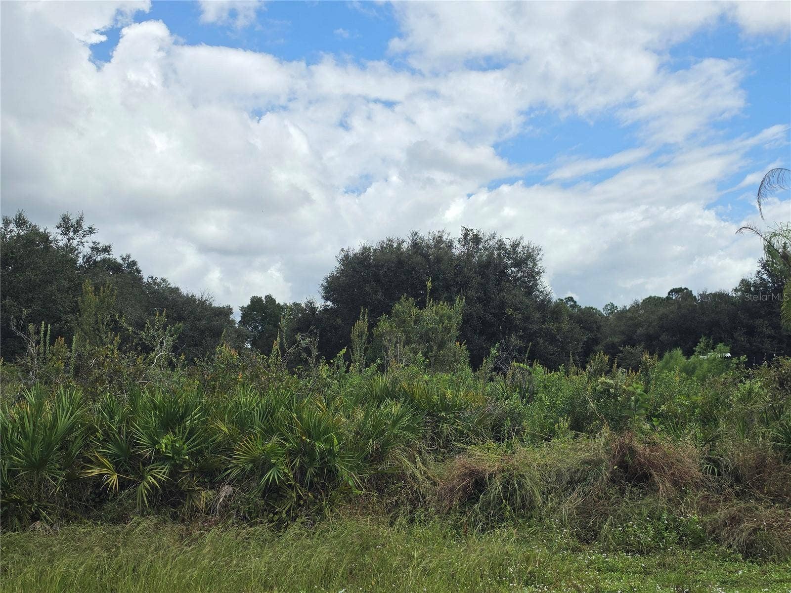 1514 RICHMOND AVENUE N, Lehigh Acres, FL 33972
