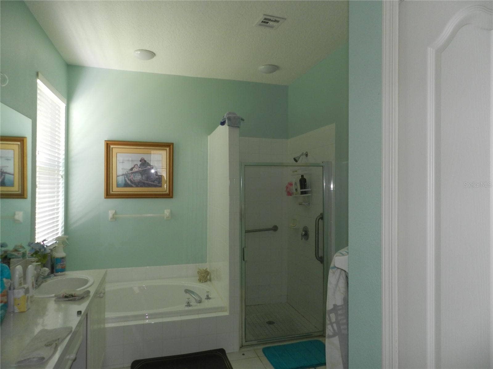 1040 FOX HOLLOW RUN, Dunedin, FL 34698 1040 FOX HOLLOW RUN, Dunedin, FL 34698