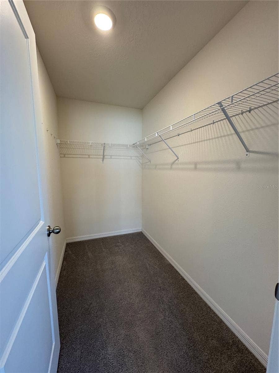 5586 LOGAN CAVE AVENUE, Wimauma, FL 33598 5586 LOGAN CAVE AVENUE, Wimauma, FL 33598