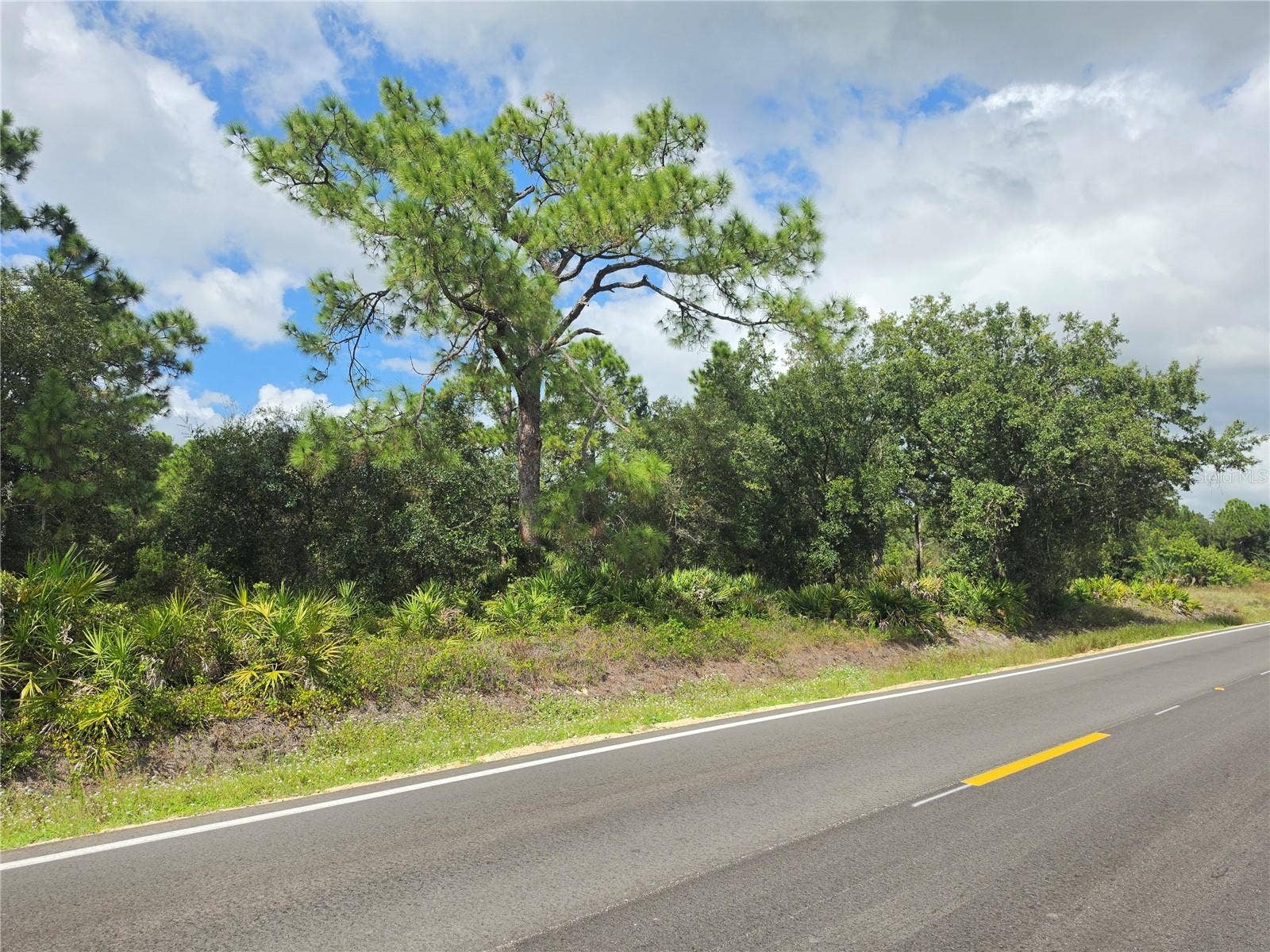1517 RICHMOND AVENUE N, Lehigh Acres, FL 33972
