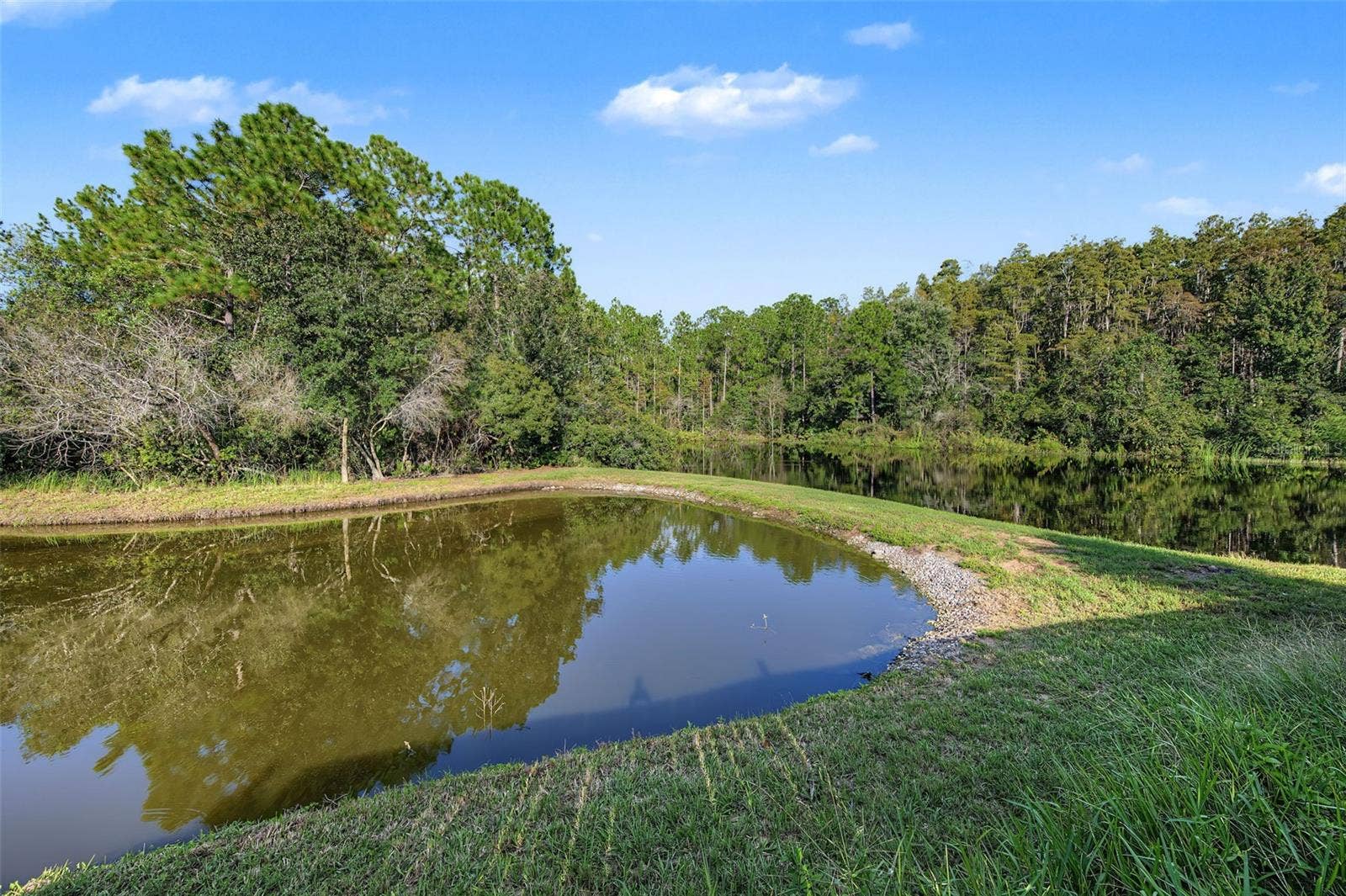 29947 MORNINGMIST DRIVE, Wesley Chapel, FL 33543