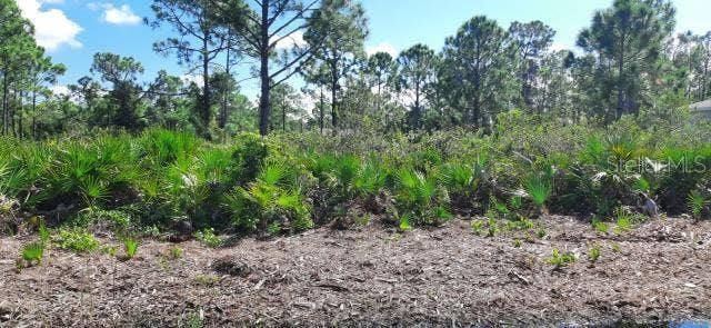 Property photo for 12038 IRIS STREET, Punta Gorda, FL