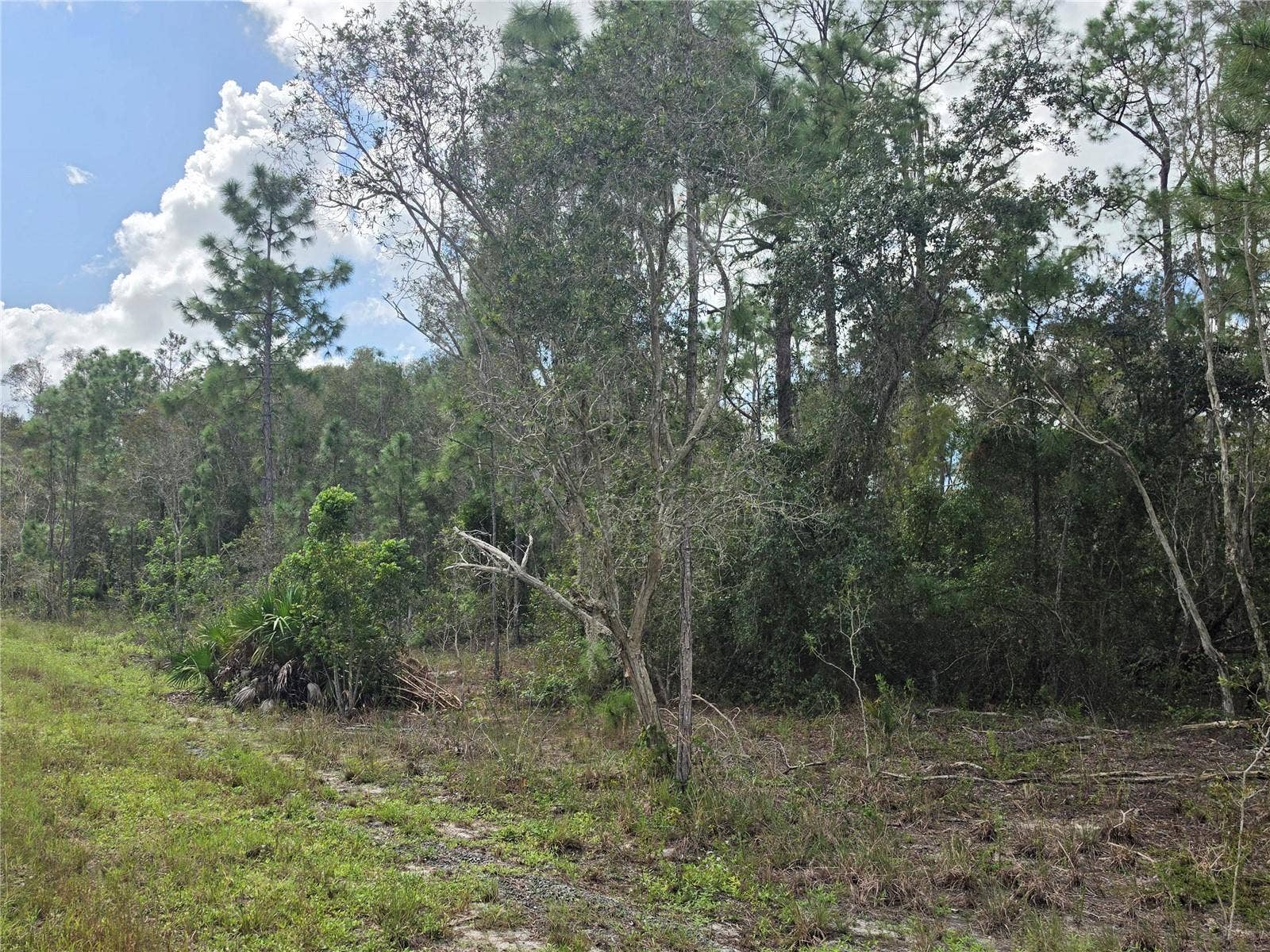 1012 KODIAK AVENUE, Lehigh Acres, FL 33974 1012 KODIAK AVENUE, Lehigh Acres, FL 33974