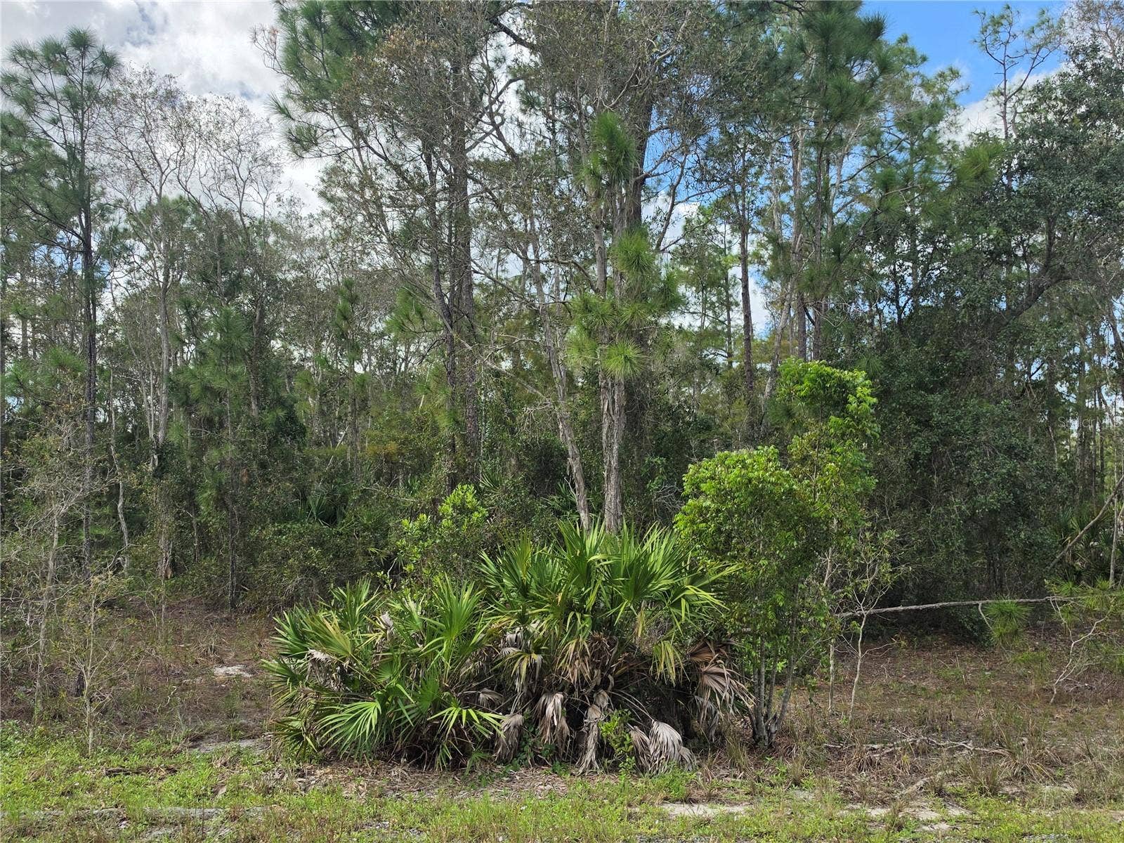 1012 KODIAK AVENUE, Lehigh Acres, FL 33974 1012 KODIAK AVENUE, Lehigh Acres, FL 33974