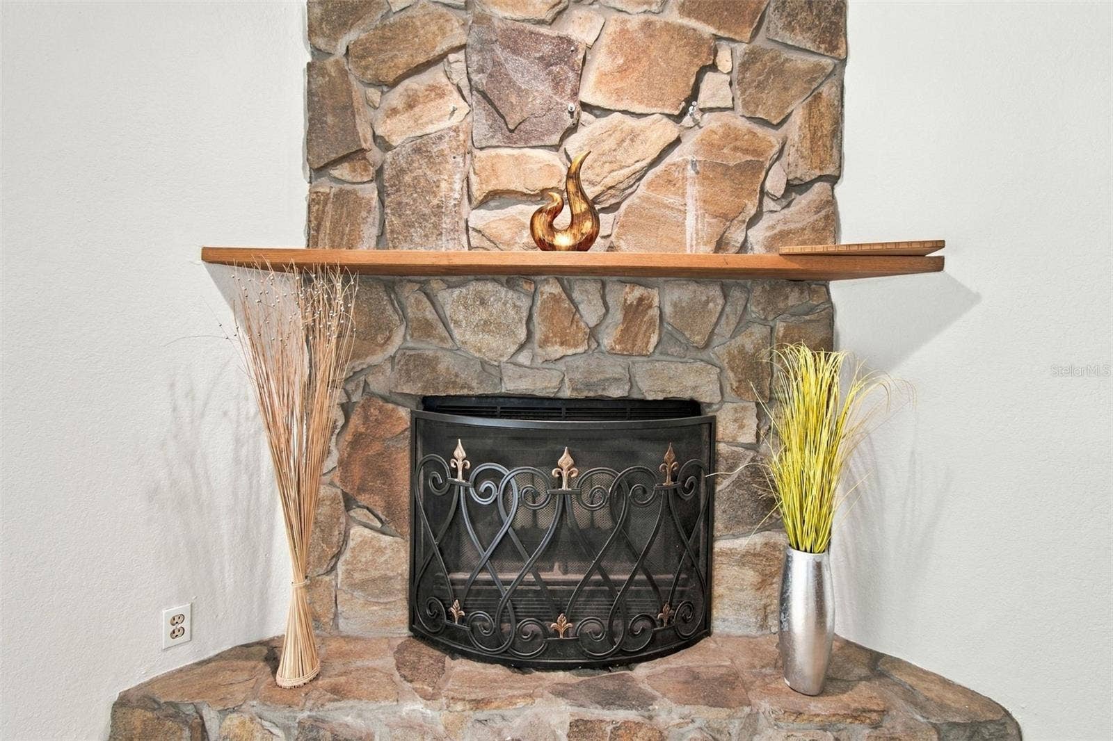 Wood burning fireplace