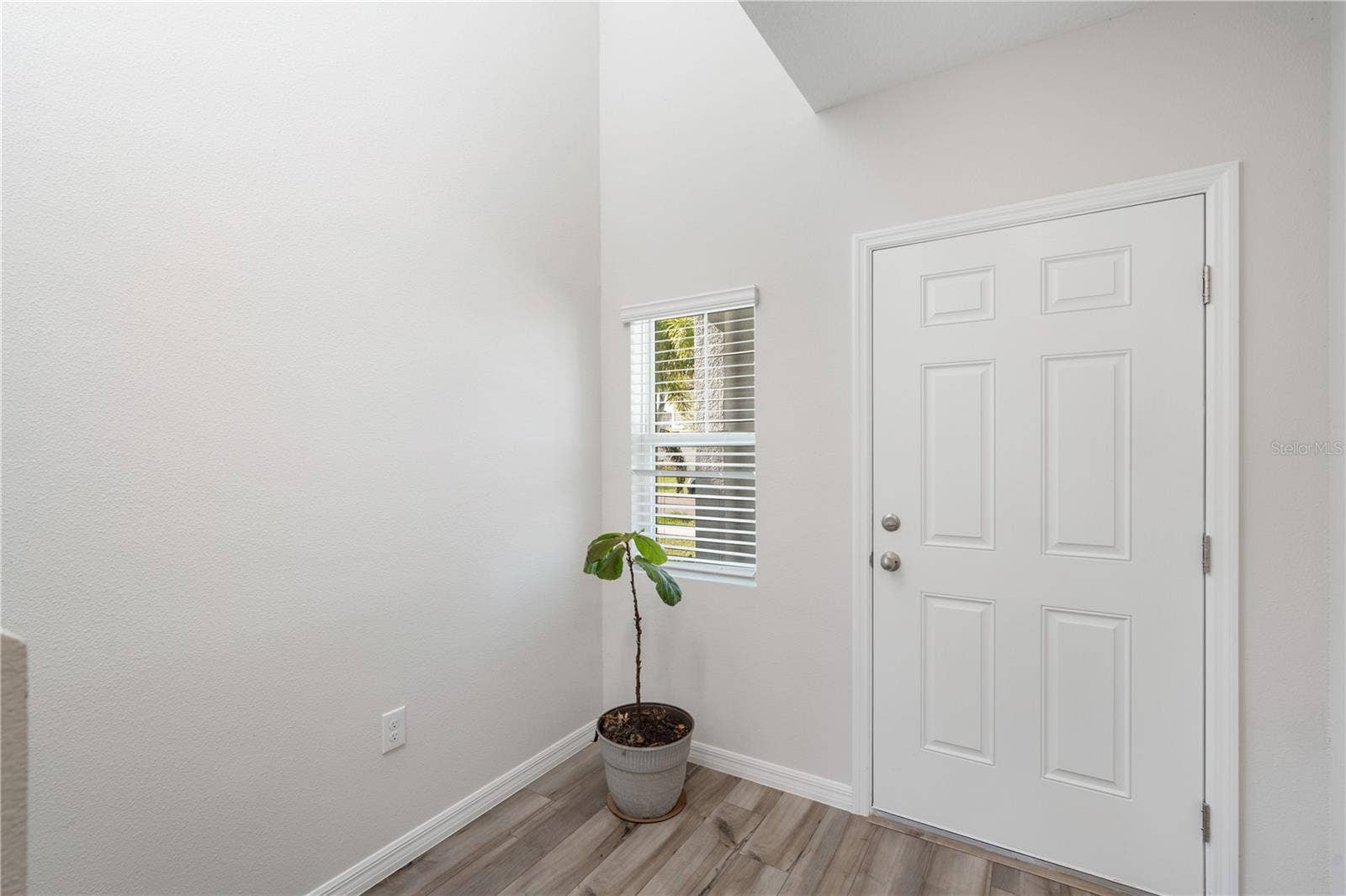 14884 SUMMER BRANCH DRIVE, Lithia, FL 33547
