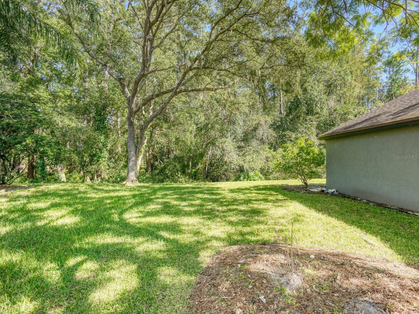 4175 KIRKALDY DRIVE, Palm Harbor, FL 34685 4175 KIRKALDY DRIVE, Palm Harbor, FL 34685