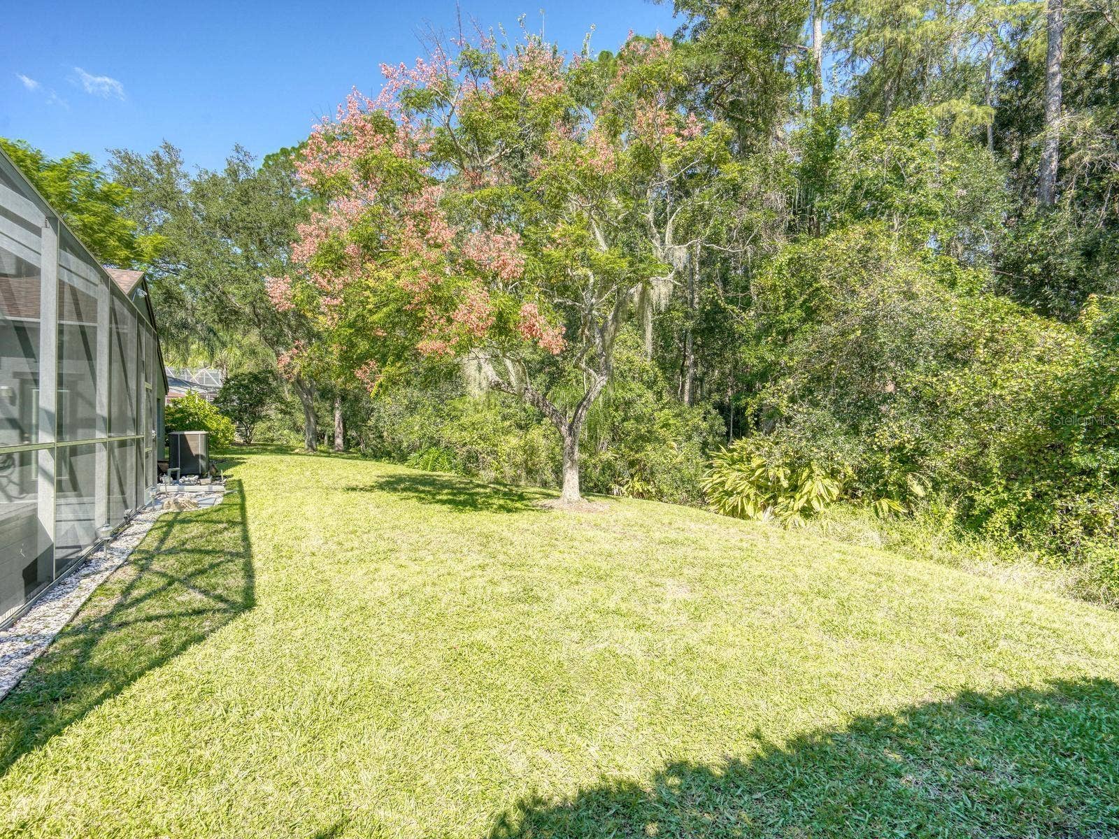 4175 KIRKALDY DRIVE, Palm Harbor, FL 34685 4175 KIRKALDY DRIVE, Palm Harbor, FL 34685