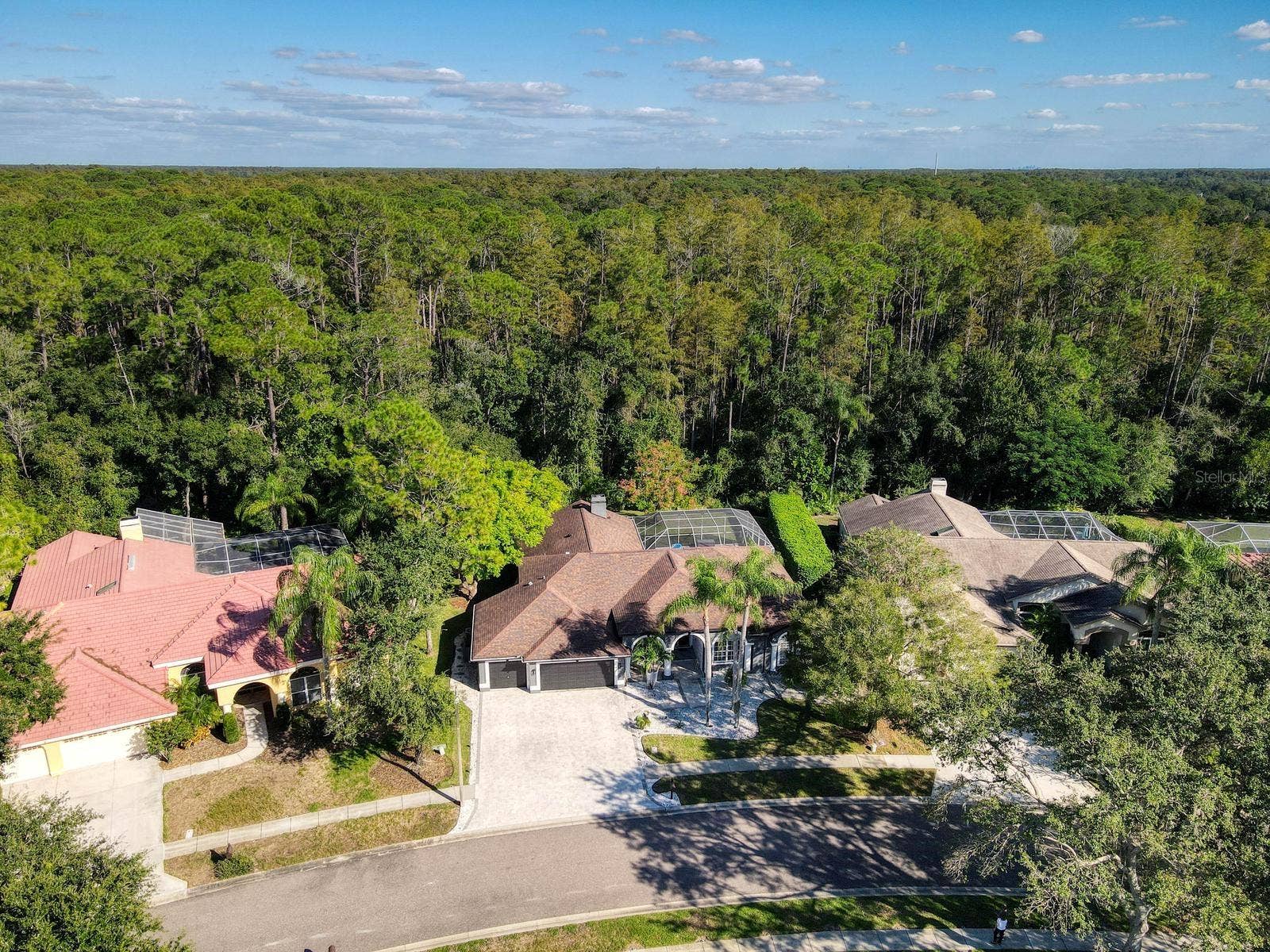 4175 KIRKALDY DRIVE, Palm Harbor, FL 34685 4175 KIRKALDY DRIVE, Palm Harbor, FL 34685
