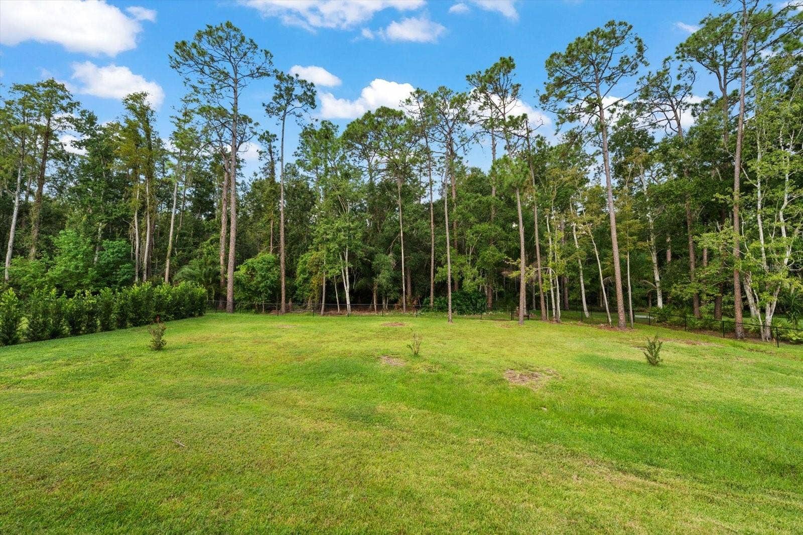 10706 ALICO PASS, New Port Richey, FL 34655 10706 ALICO PASS, New Port Richey, FL 34655