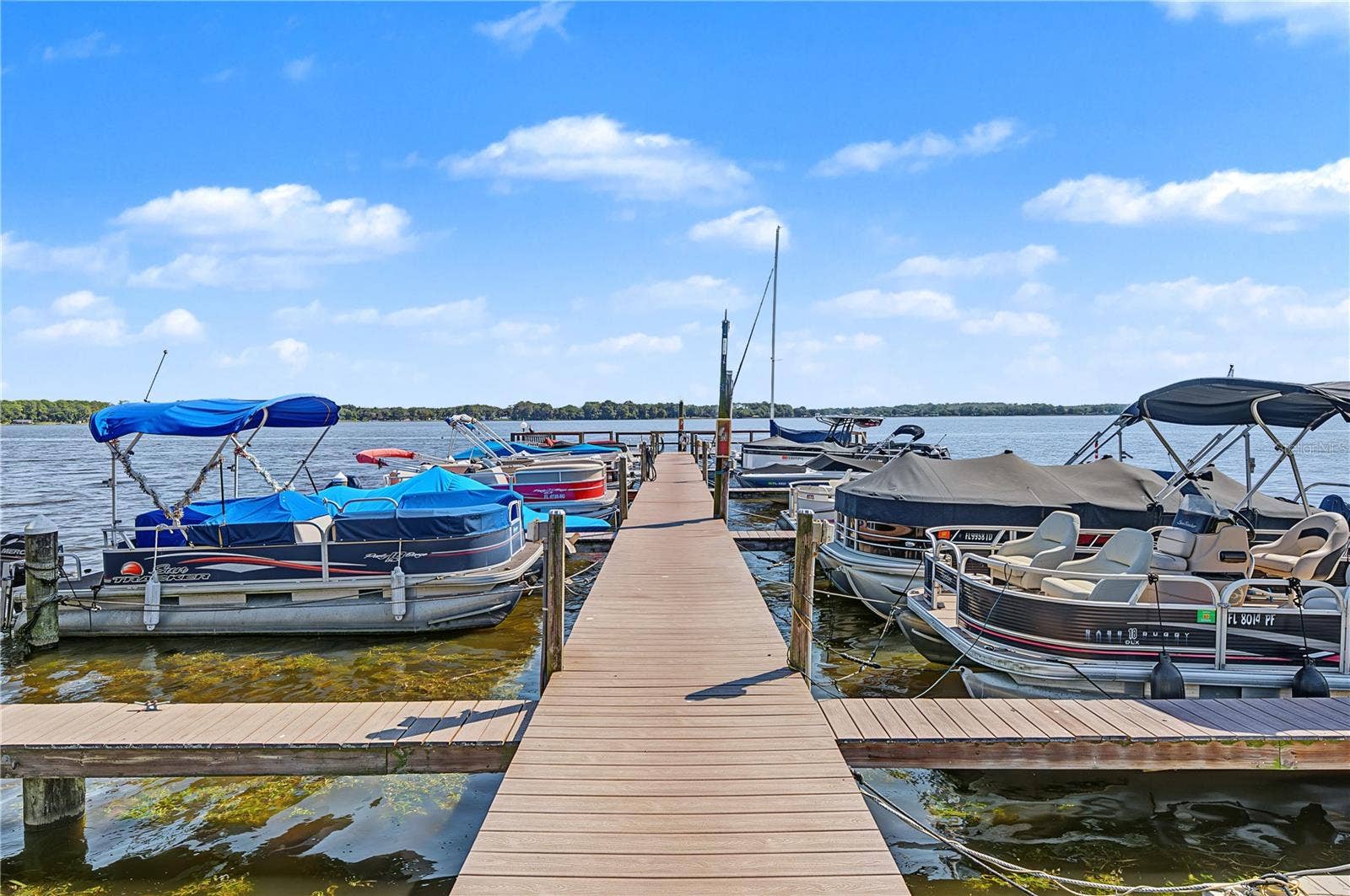 90 S HIGHLAND AVENUE, #1203, Tarpon Springs, FL 34689 90 S HIGHLAND AVENUE, #1203, Tarpon Springs, FL 34689