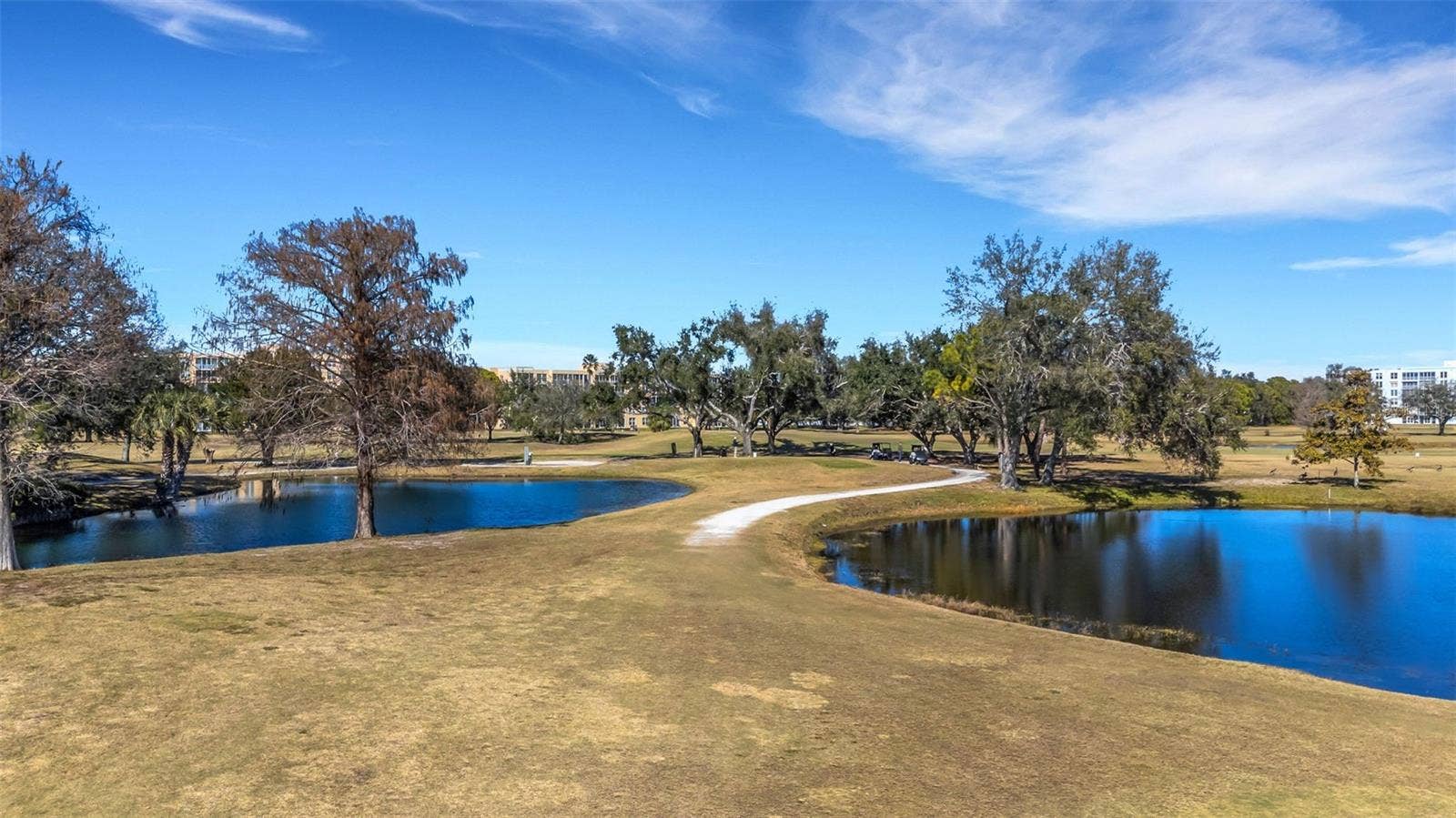 4460 FAIRWAYS BOULEVARD, #105, Bradenton, FL 34209 4460 FAIRWAYS BOULEVARD, #105, Bradenton, FL 34209