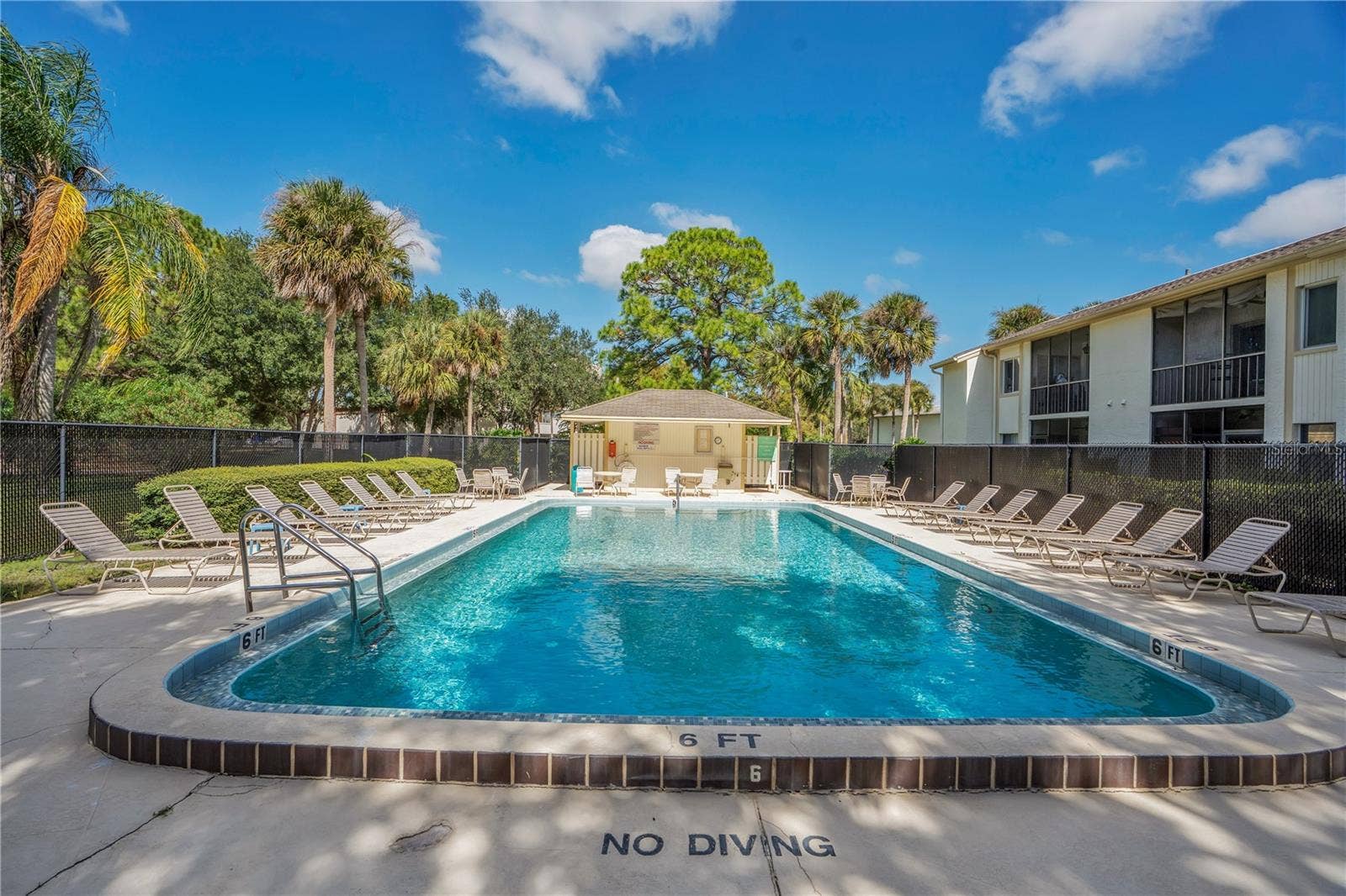 109 PINE COURT, #109, Oldsmar, FL 34677 109 PINE COURT, #109, Oldsmar, FL 34677