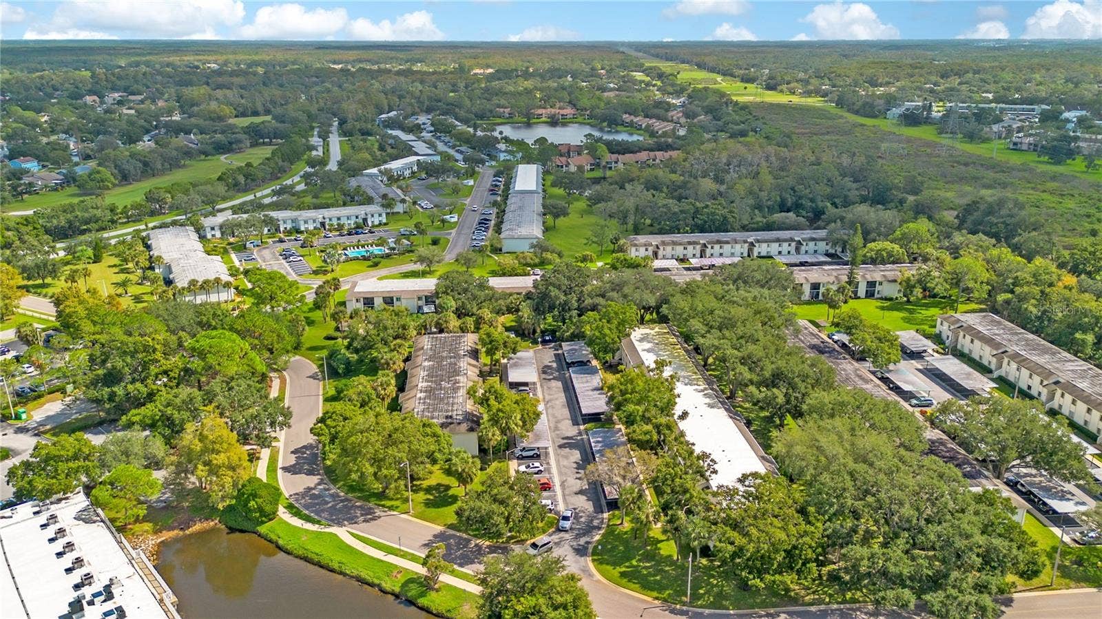 109 PINE COURT, #109, Oldsmar, FL 34677 109 PINE COURT, #109, Oldsmar, FL 34677