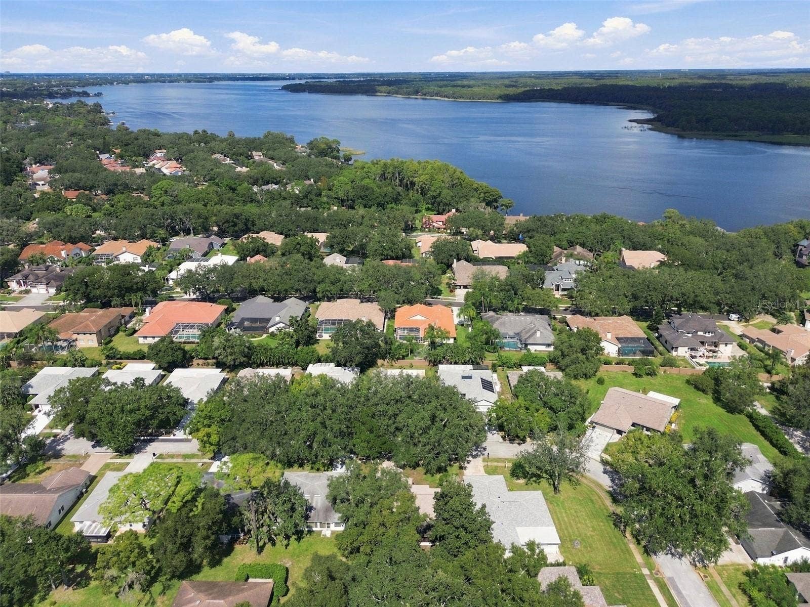 3554 OAK LAKE DRIVE, Palm Harbor, FL 34684 3554 OAK LAKE DRIVE, Palm Harbor, FL 34684