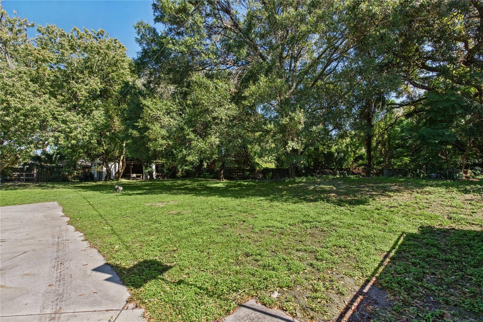 1817 N KEENE ROAD, Clearwater, FL 33755 Backyard (2)