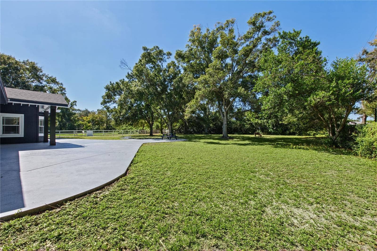 1817 N KEENE ROAD, Clearwater, FL 33755 Front yard (4)