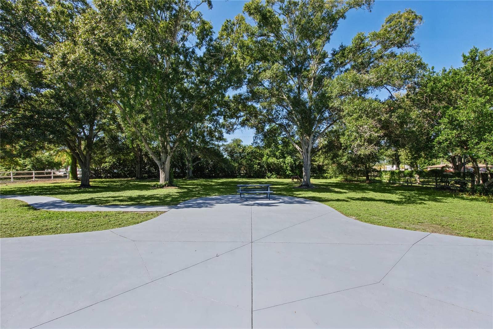 1817 N KEENE ROAD, Clearwater, FL 33755 Front yard (7)