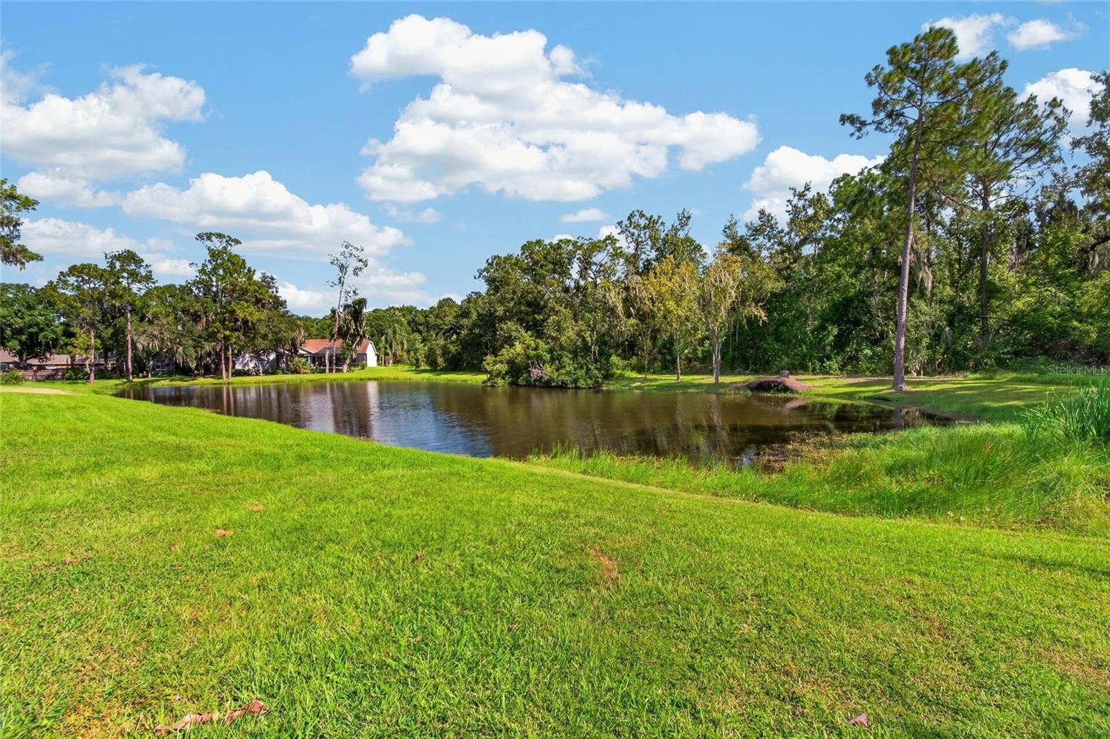 10120 SEDGEBROOK DRIVE, Riverview, FL 33569