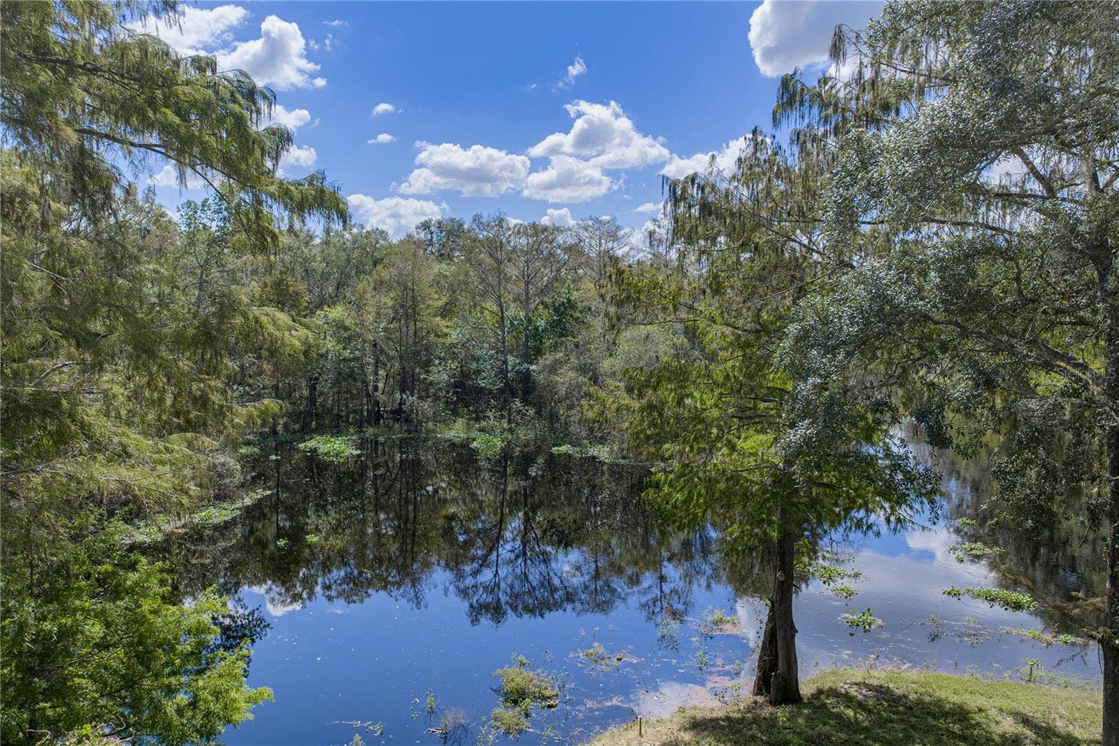 32444 MARCHMONT CIRCLE, Dade City, FL 33523 32444 MARCHMONT CIRCLE, Dade City, FL 33523