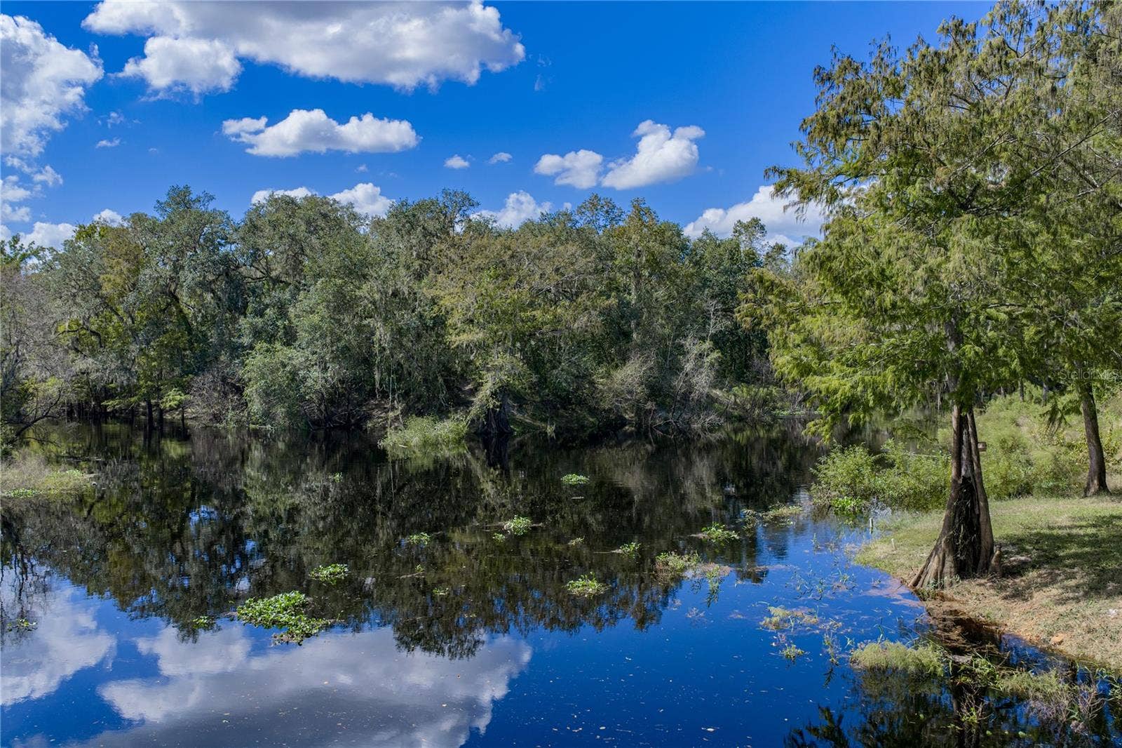 32444 MARCHMONT CIRCLE, Dade City, FL 33523 32444 MARCHMONT CIRCLE, Dade City, FL 33523