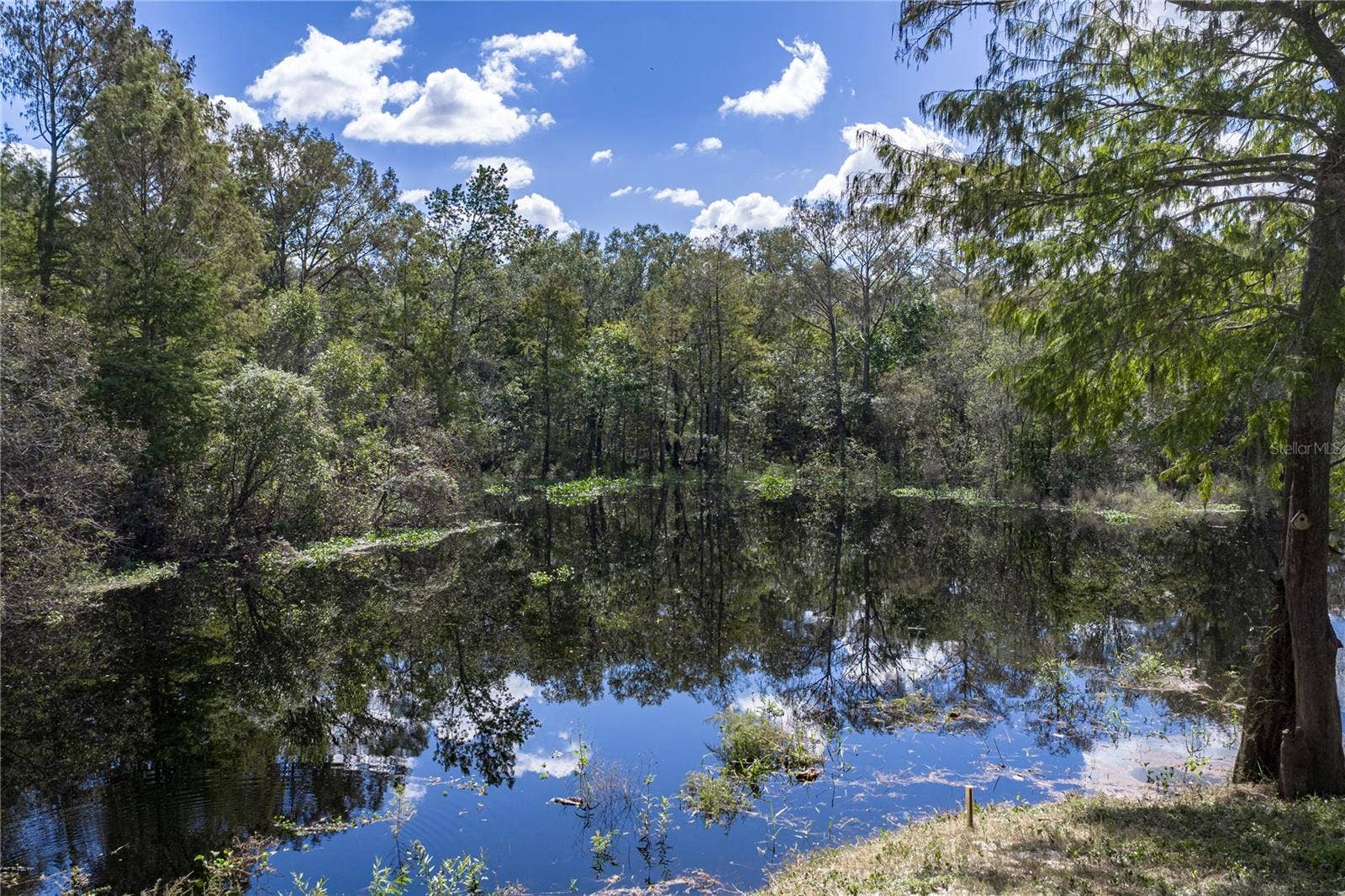 32444 MARCHMONT CIRCLE, Dade City, FL 33523 32444 MARCHMONT CIRCLE, Dade City, FL 33523
