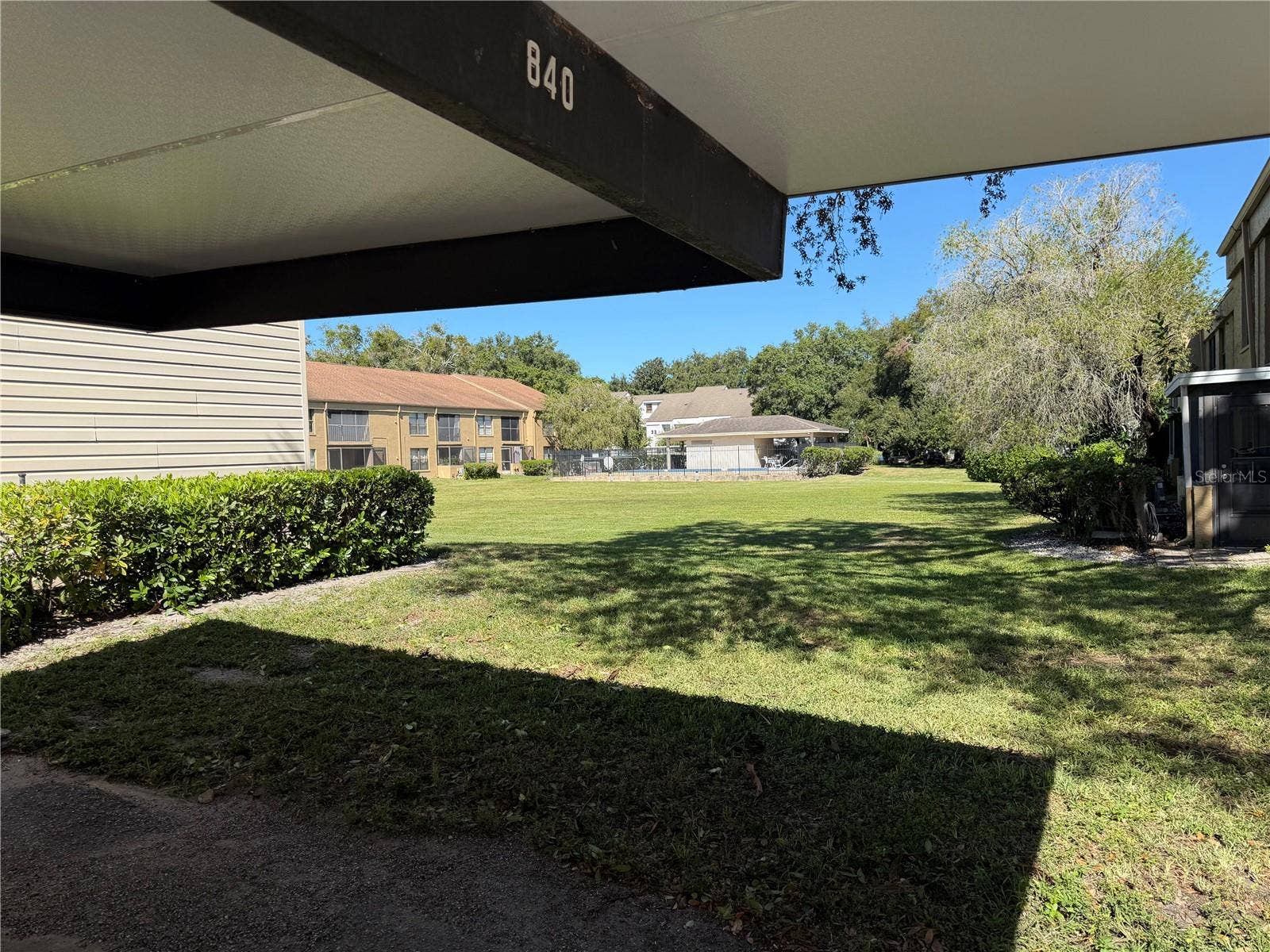 7840 NIAGARA AVENUE, #325, Tampa, FL 33617 7840 NIAGARA AVENUE, #325, Tampa, FL 33617
