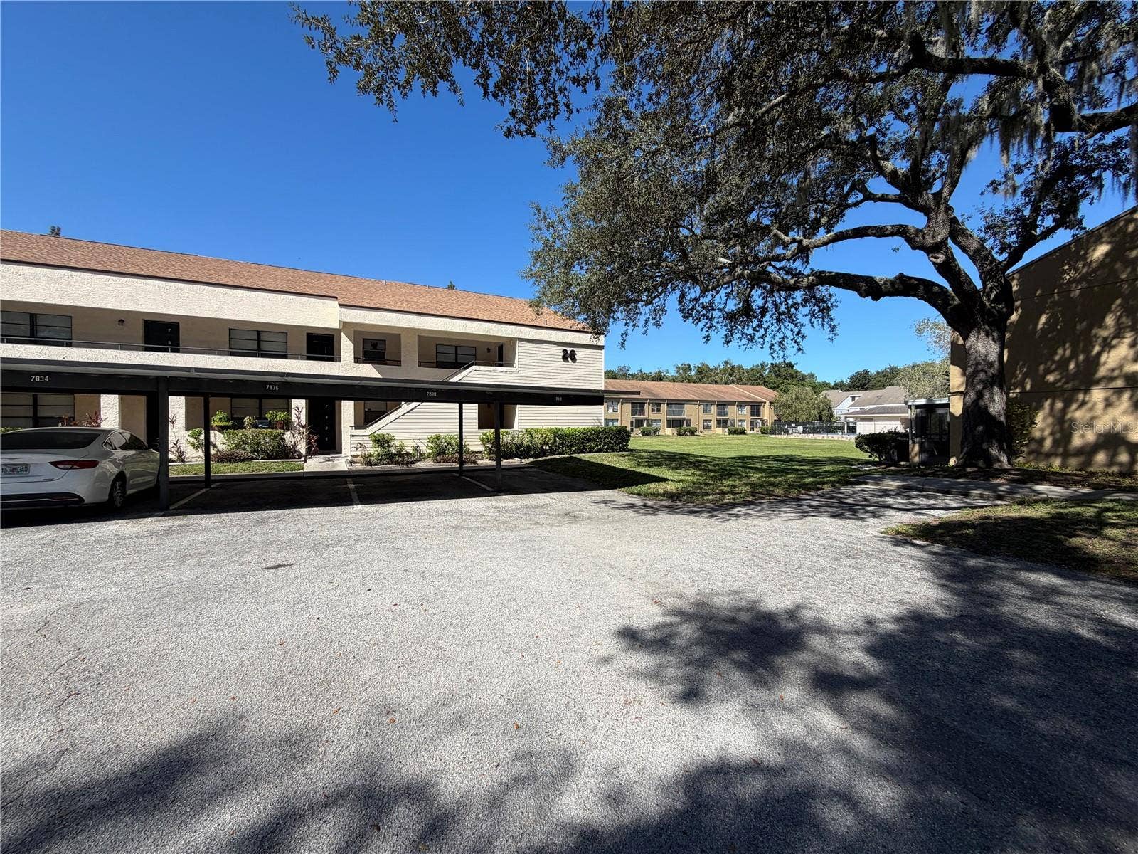7840 NIAGARA AVENUE, #325, Tampa, FL 33617 7840 NIAGARA AVENUE, #325, Tampa, FL 33617