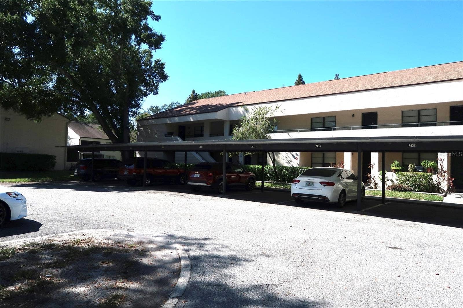 7840 NIAGARA AVENUE, #325, Tampa, FL 33617 7840 NIAGARA AVENUE, #325, Tampa, FL 33617