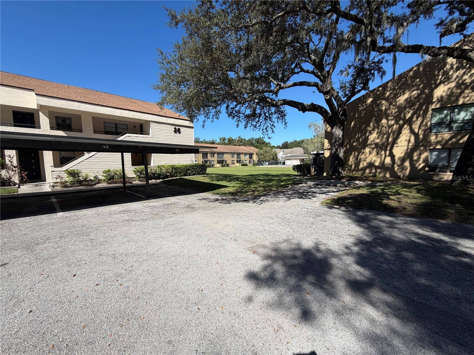 7840 NIAGARA AVENUE, #325, Tampa, FL 33617 7840 NIAGARA AVENUE, #325, Tampa, FL 33617