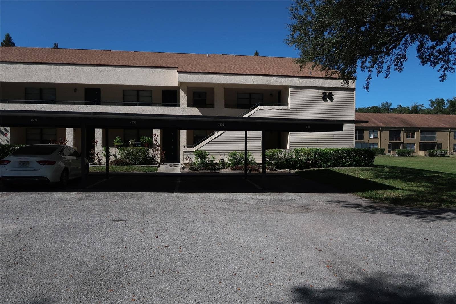 7840 NIAGARA AVENUE, #325, Tampa, FL 33617 7840 NIAGARA AVENUE, #325, Tampa, FL 33617