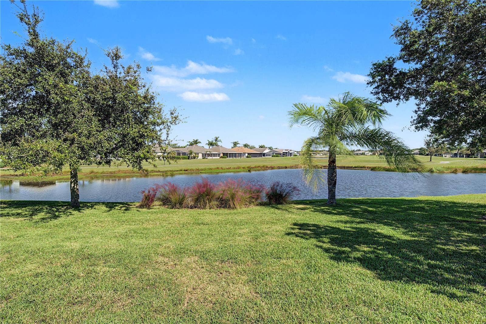 29145 GRASS BUNKER DRIVE, San Antonio, FL 33576 Deep backyard with water and golf course beyond!