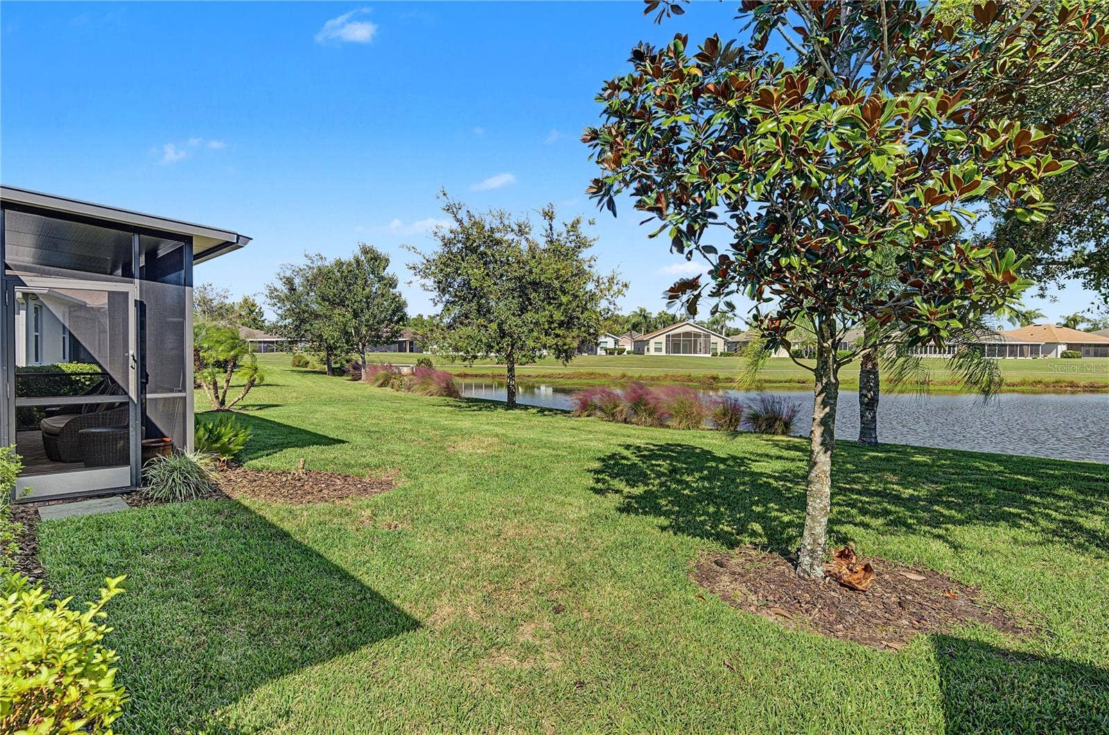 29145 GRASS BUNKER DRIVE, San Antonio, FL 33576 spacious side/backyard for lawn games