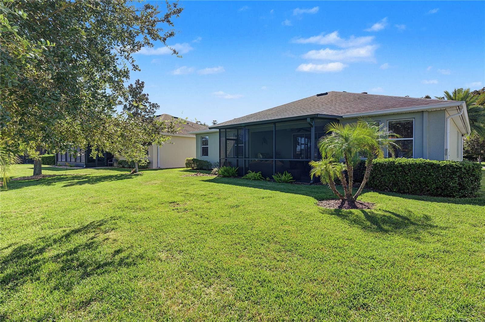 29145 GRASS BUNKER DRIVE, San Antonio, FL 33576 Lush green lawn in backyard