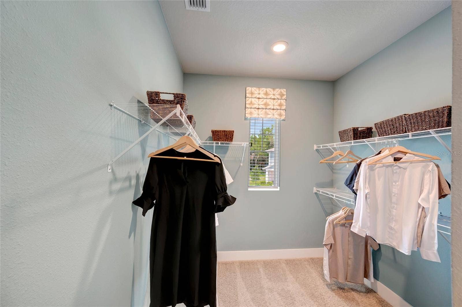 3551 CASPIAN CHERVIL STREET, Wesley Chapel, FL 33543 Owner's Closet
