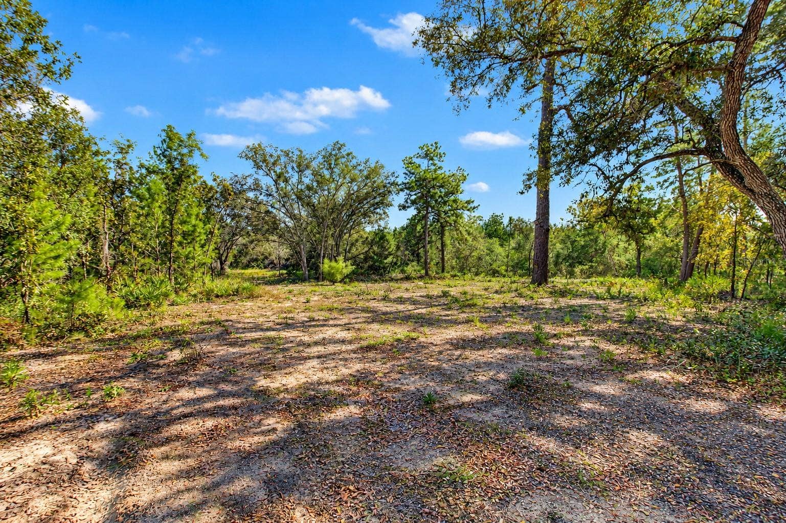 18182 RAPIDAN ROAD, Weeki Wachee, FL 34614 18182 RAPIDAN ROAD, Weeki Wachee, FL 34614