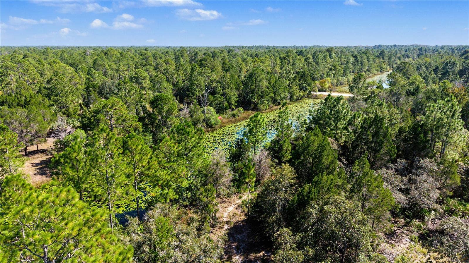 18182 RAPIDAN ROAD, Weeki Wachee, FL 34614 18182 RAPIDAN ROAD, Weeki Wachee, FL 34614
