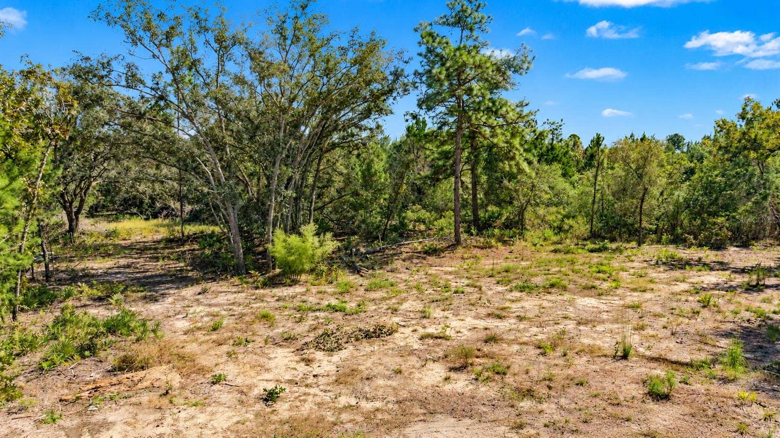 18182 RAPIDAN ROAD, Weeki Wachee, FL 34614 18182 RAPIDAN ROAD, Weeki Wachee, FL 34614